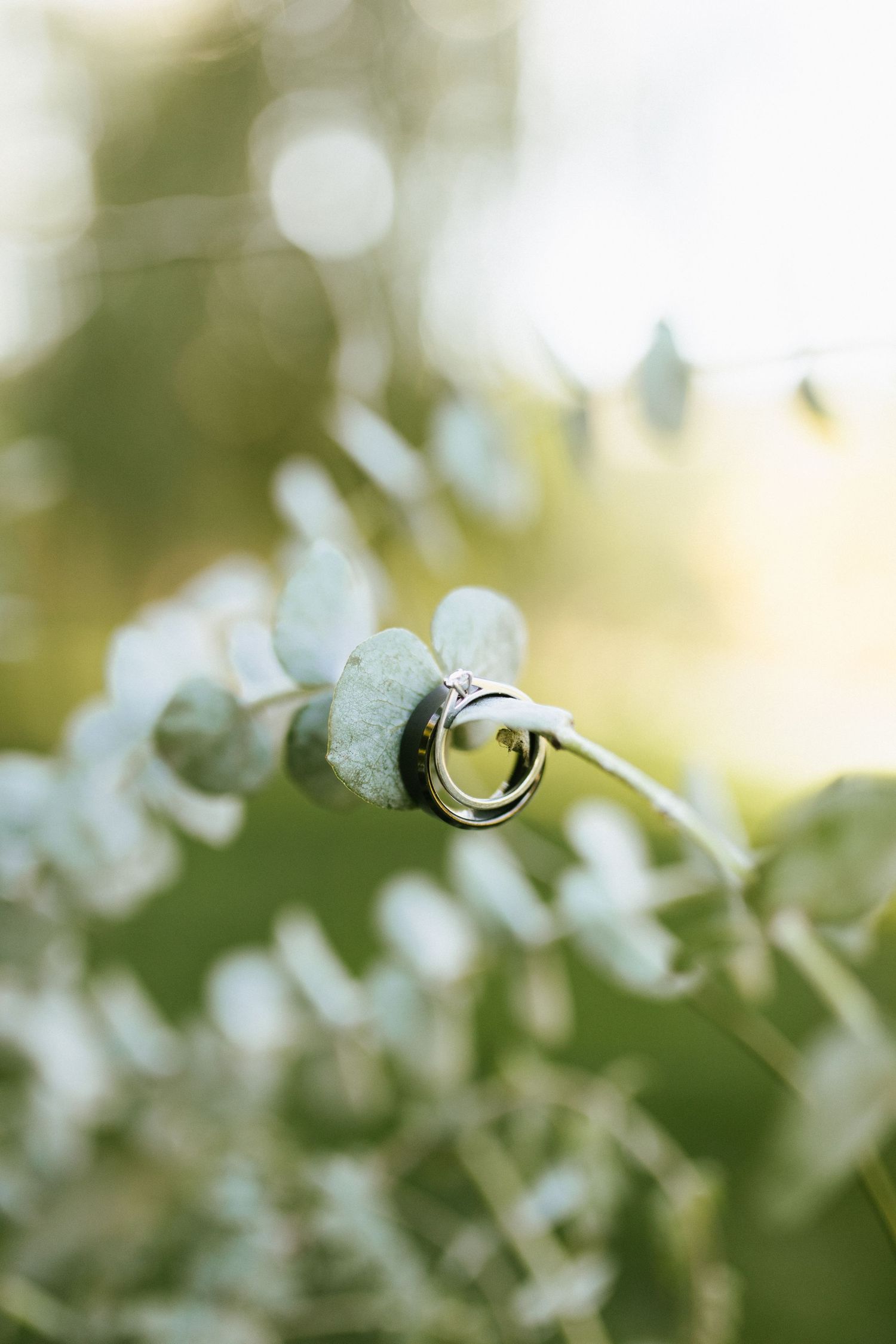Wedding photography in Boise Idaho