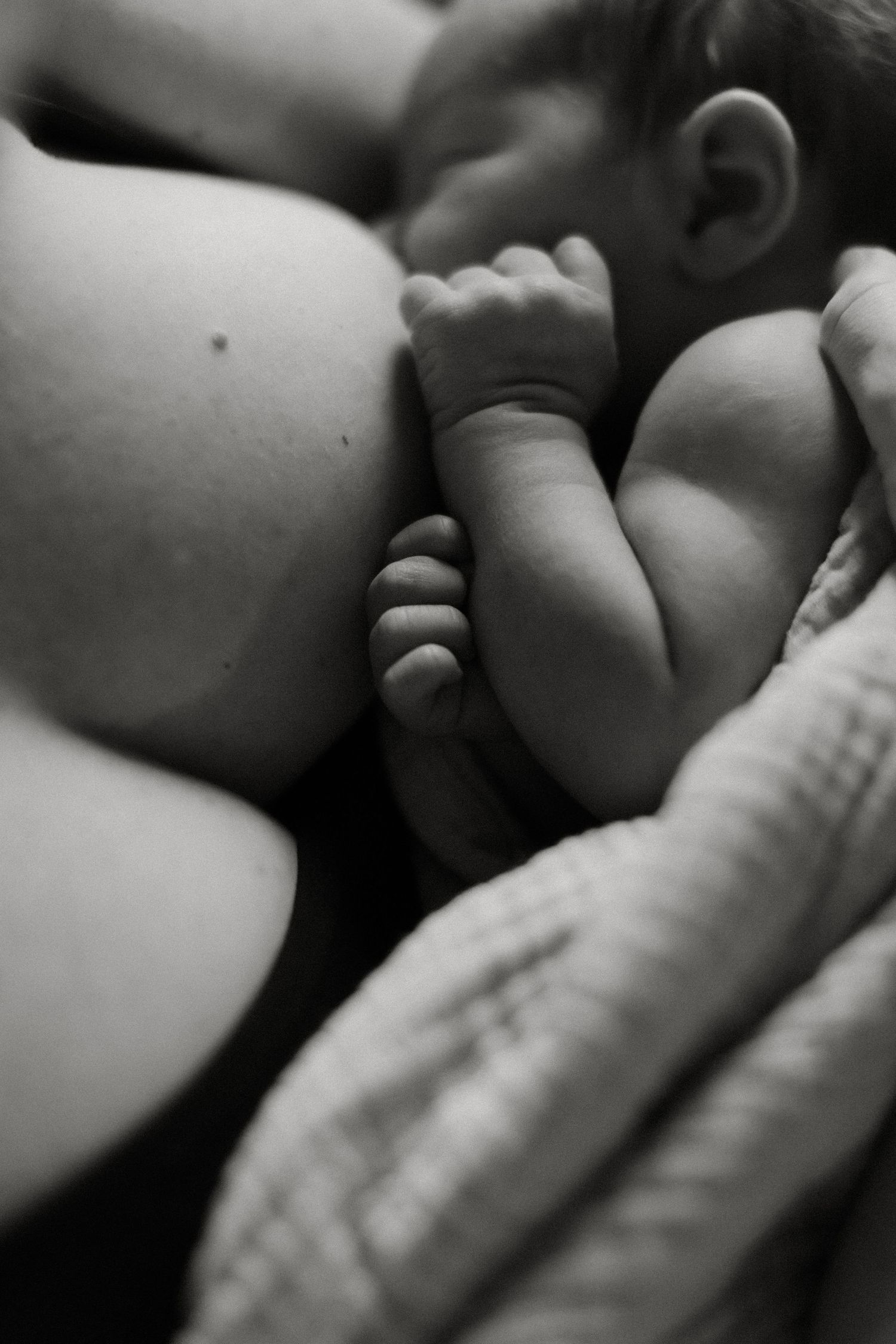 Newborn photography in Boise Idaho