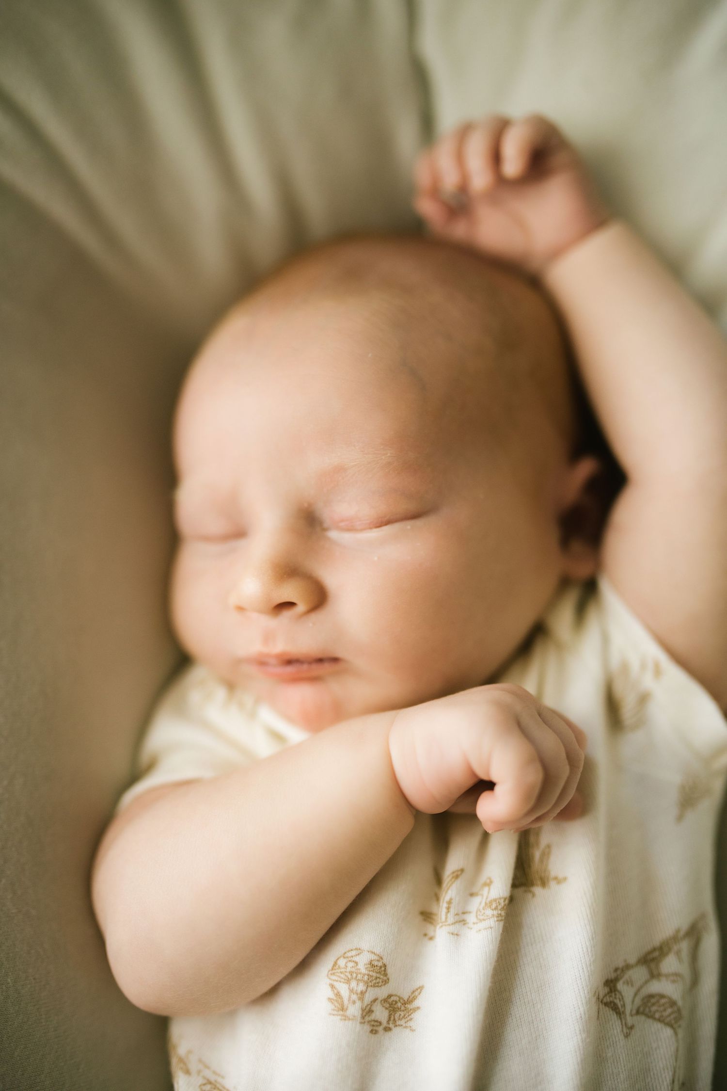 Newborn photography in Boise Idaho