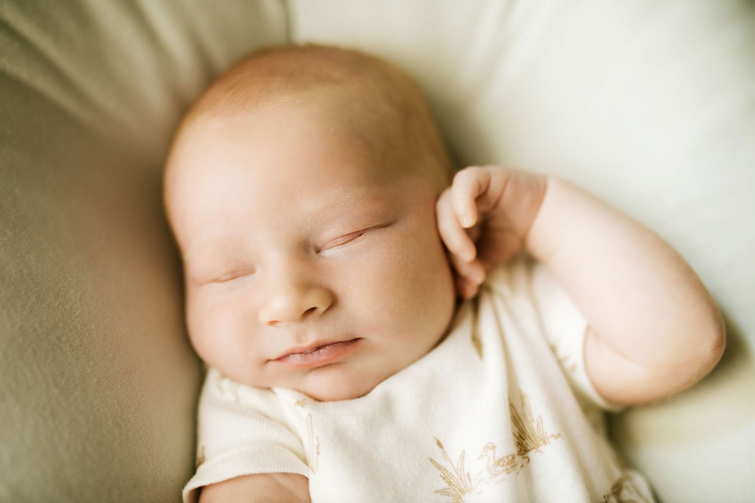 Newborn photography at home in Boise Idaho