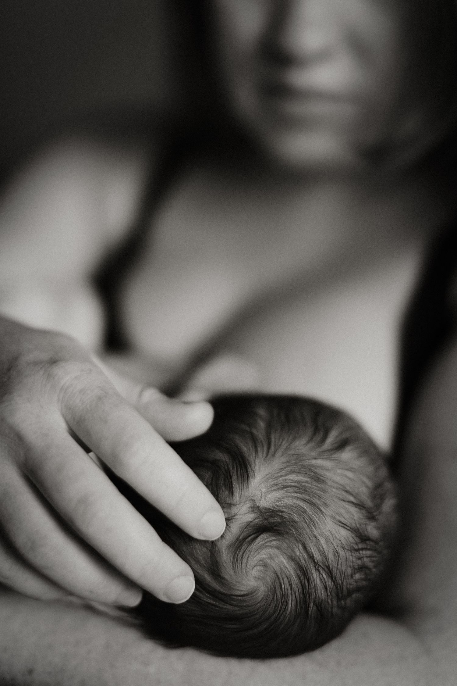 Newborn photography in Boise Idaho