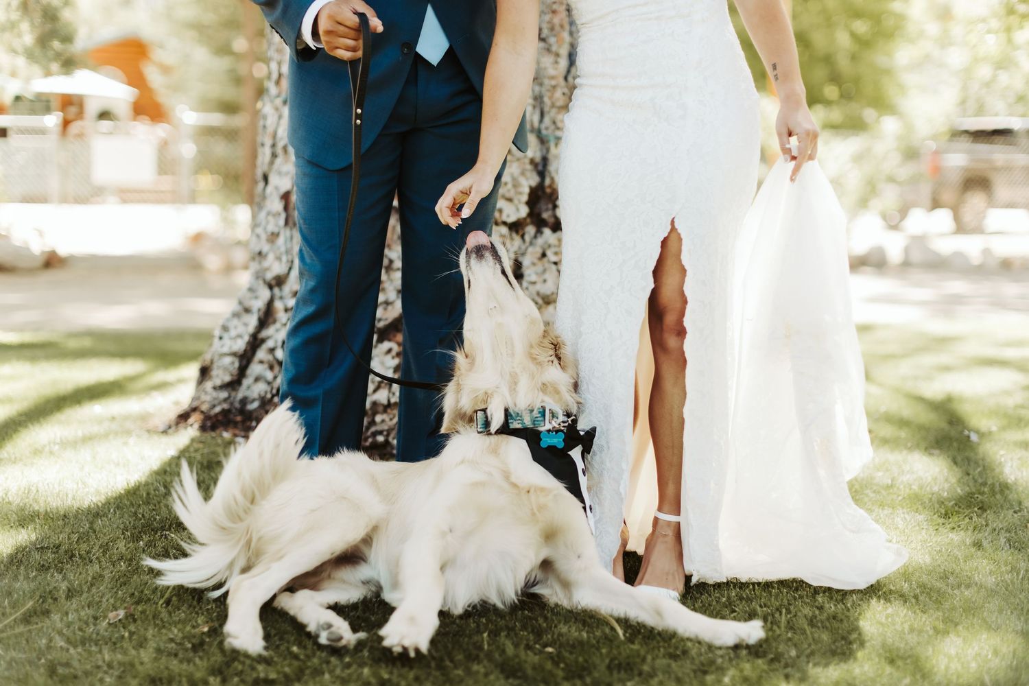 Candid photograph from wedding reception at Shay Meadow Ranch in Big Bear California