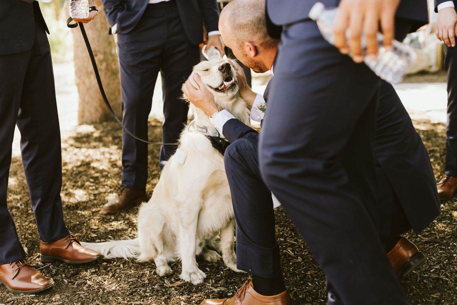 Candid photograph from wedding reception at Shay Meadow Ranch in Big Bear California