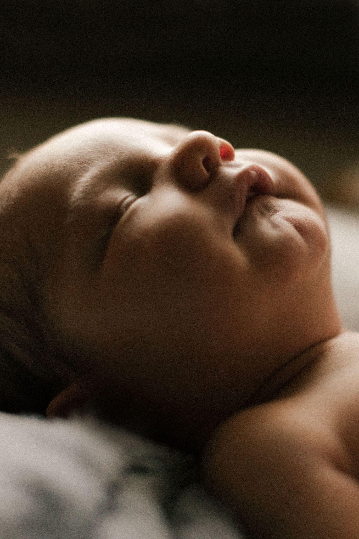 Newborn photography in Boise Idaho