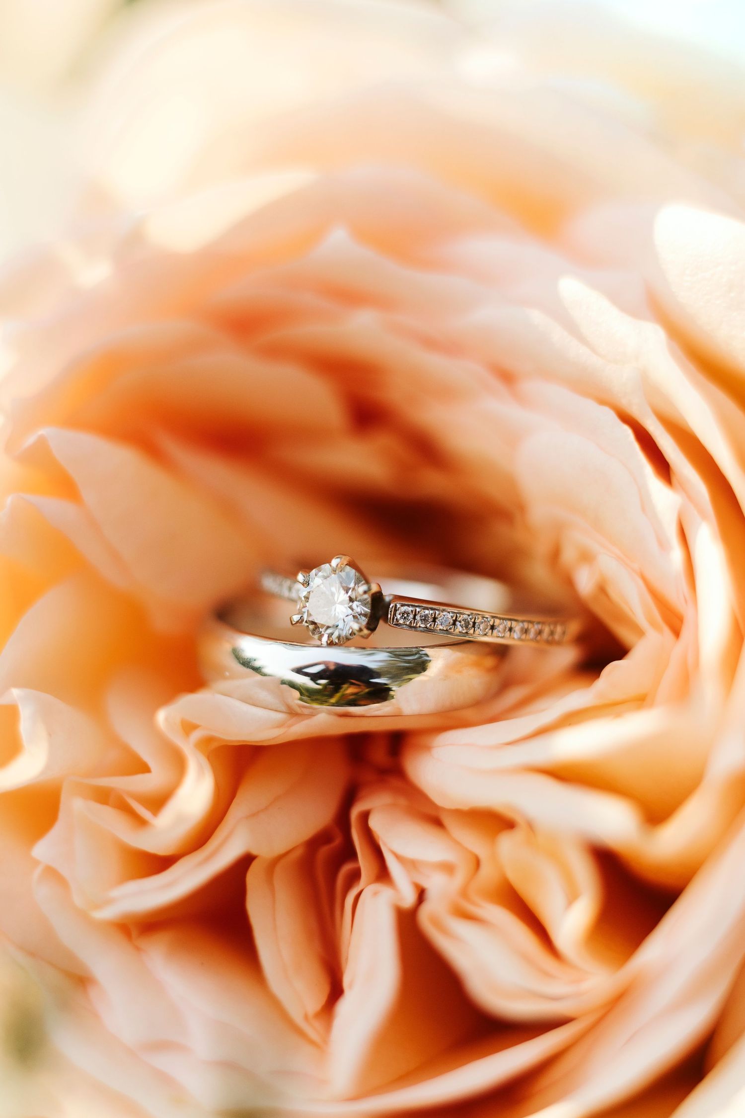 Wedding photography in Boise Idaho