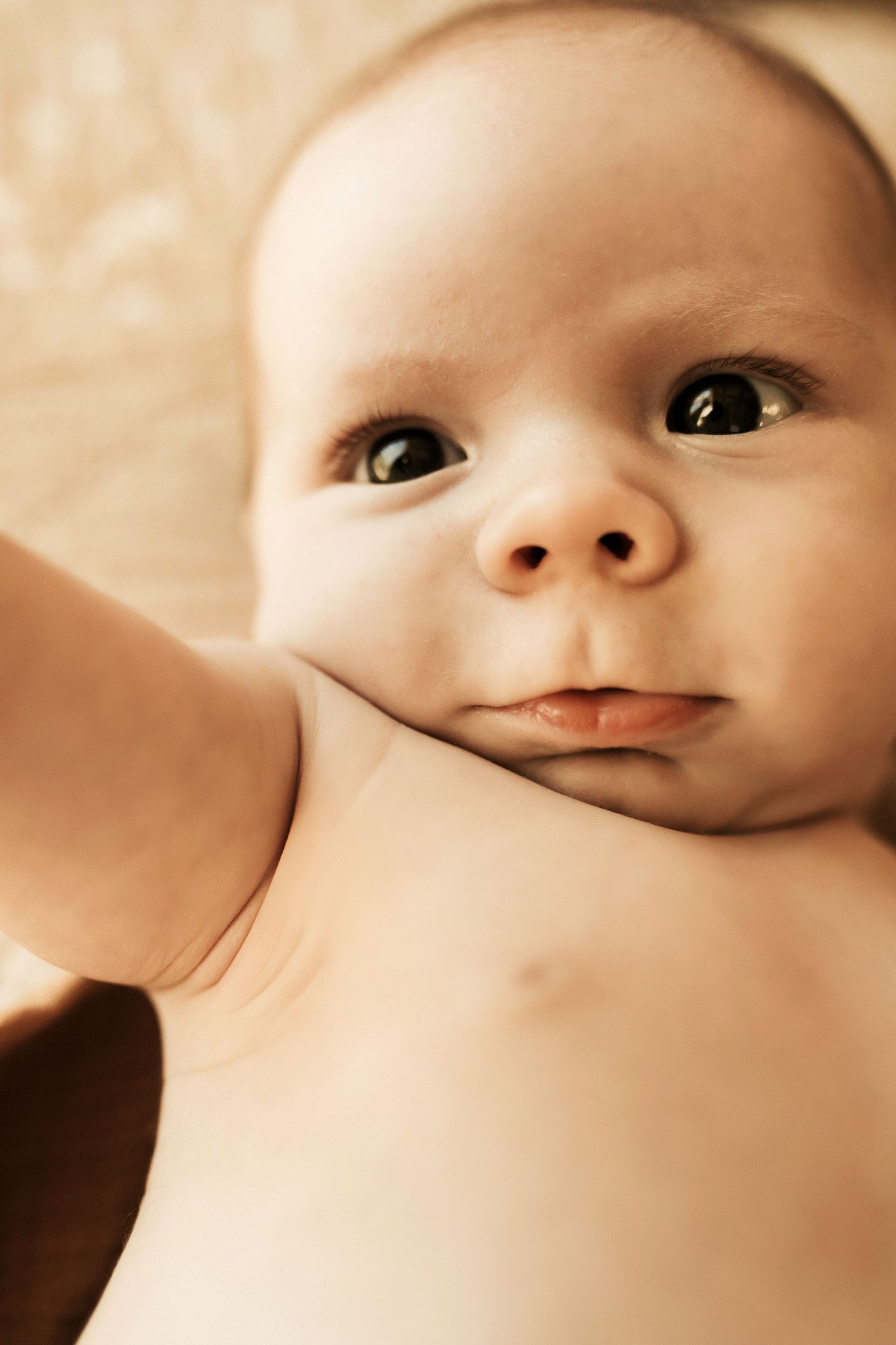newborn photography in Hailey Idaho