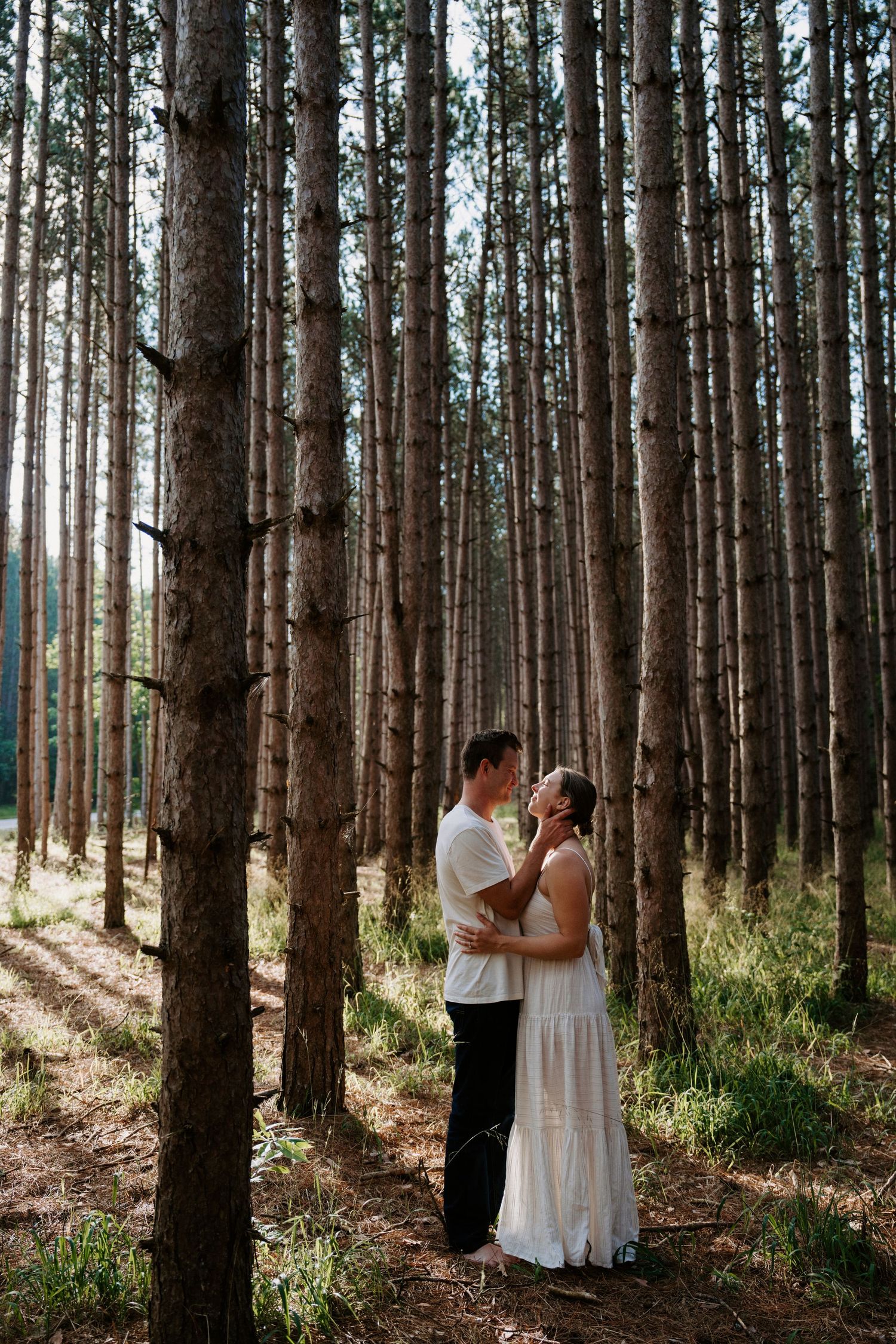 A romantic scene unfolds between two people in a sunlit pine forest.