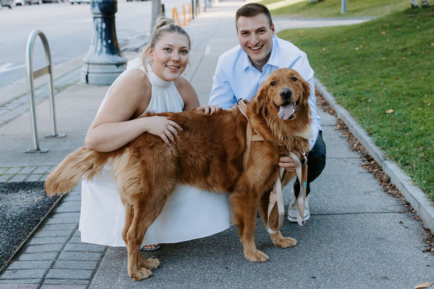 A golden retriever dog poses with companions on outdoor steps.
