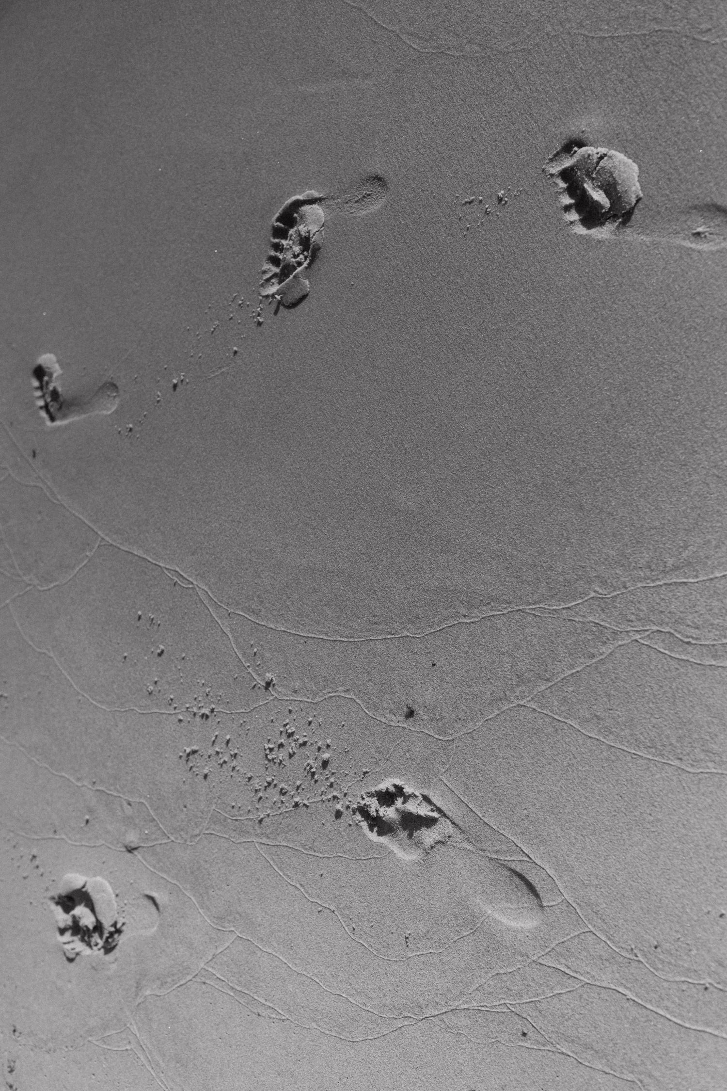 Aerial view of footprints and patterns in wet sand on a beach.