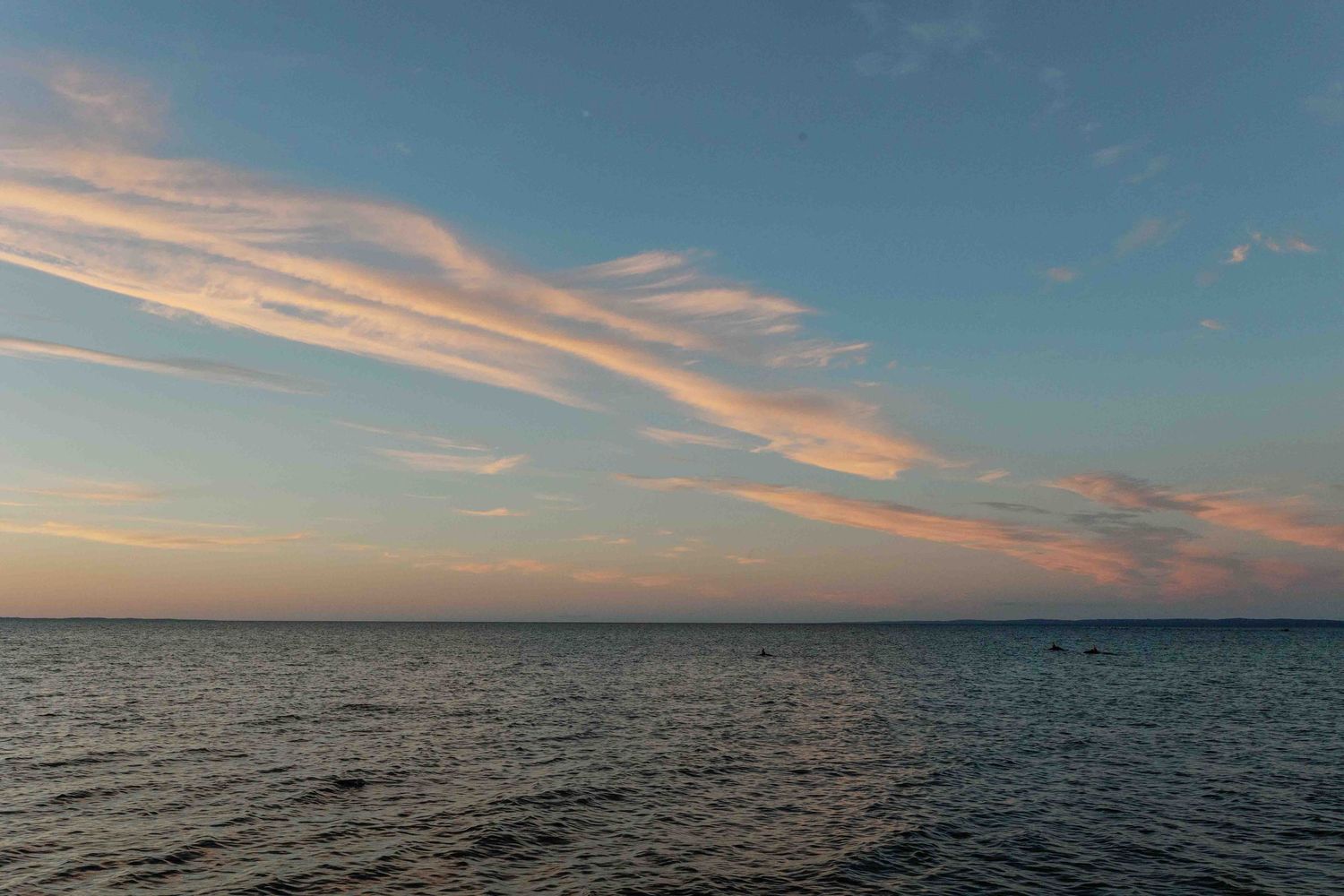 Tranquil ocean landscape with pink clouds reflecting on calm waters at dusk.