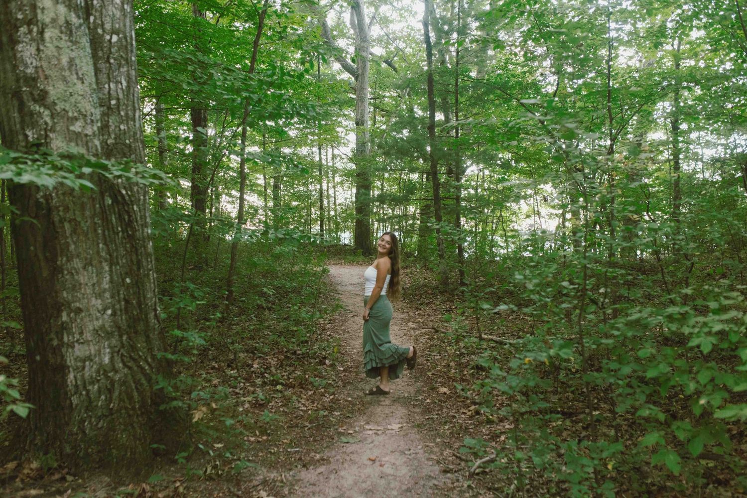 Sunlit forest trail curves through dense woodland with scattered leaves on the ground.