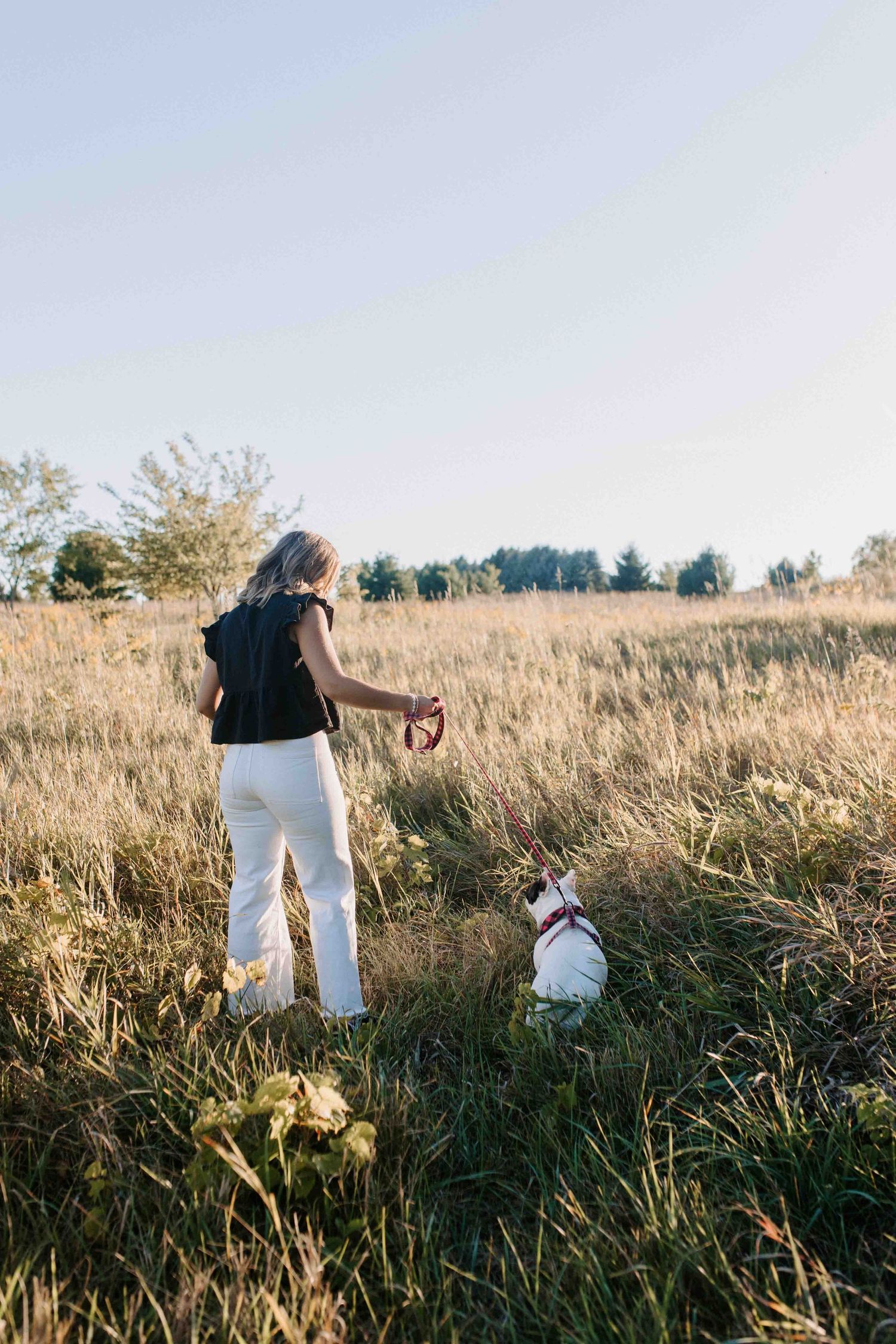 Walking through tall grass with a dog during golden hour.