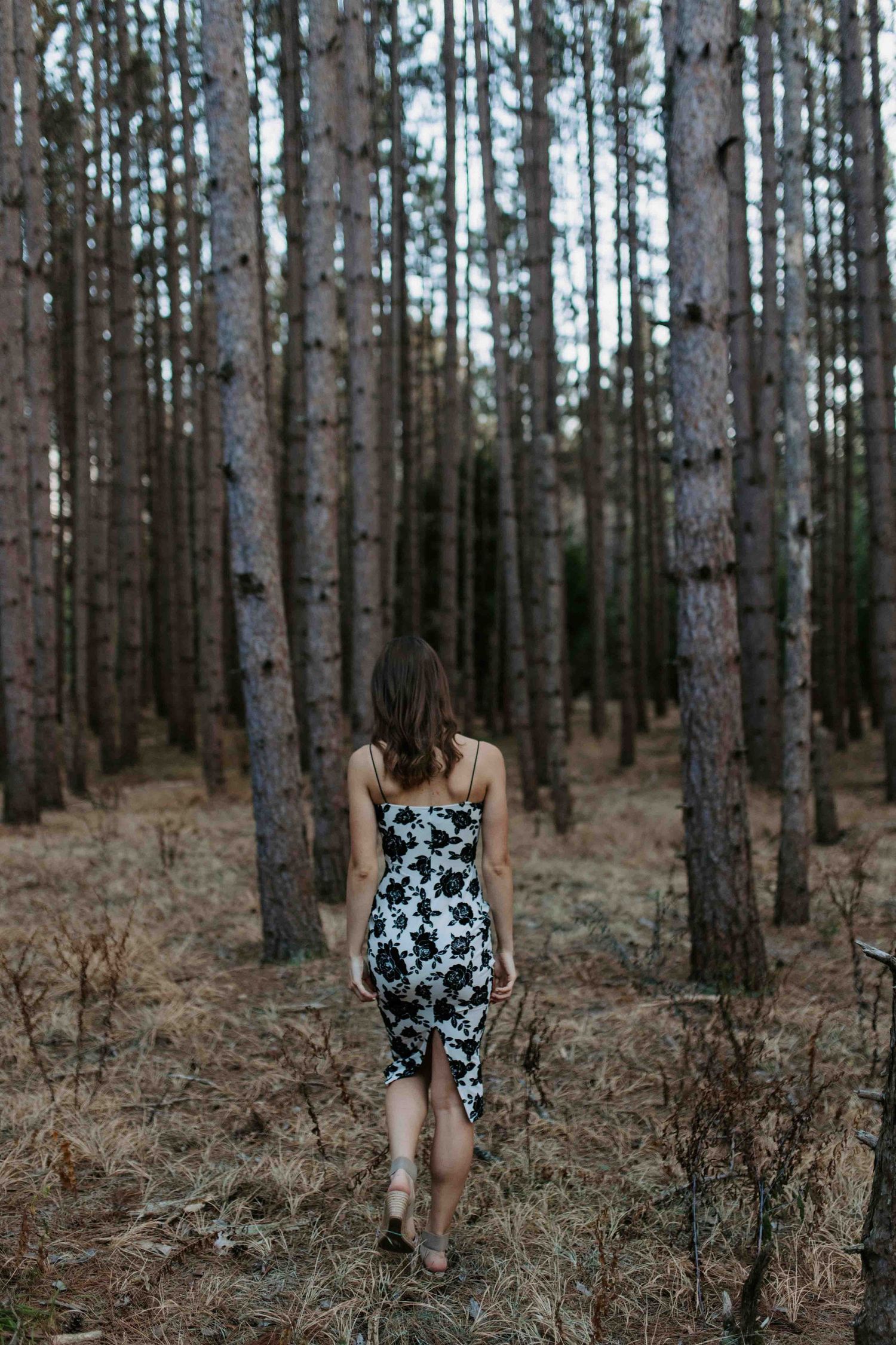 Silhouette in a floral dress among tall pine trees in a forest setting.