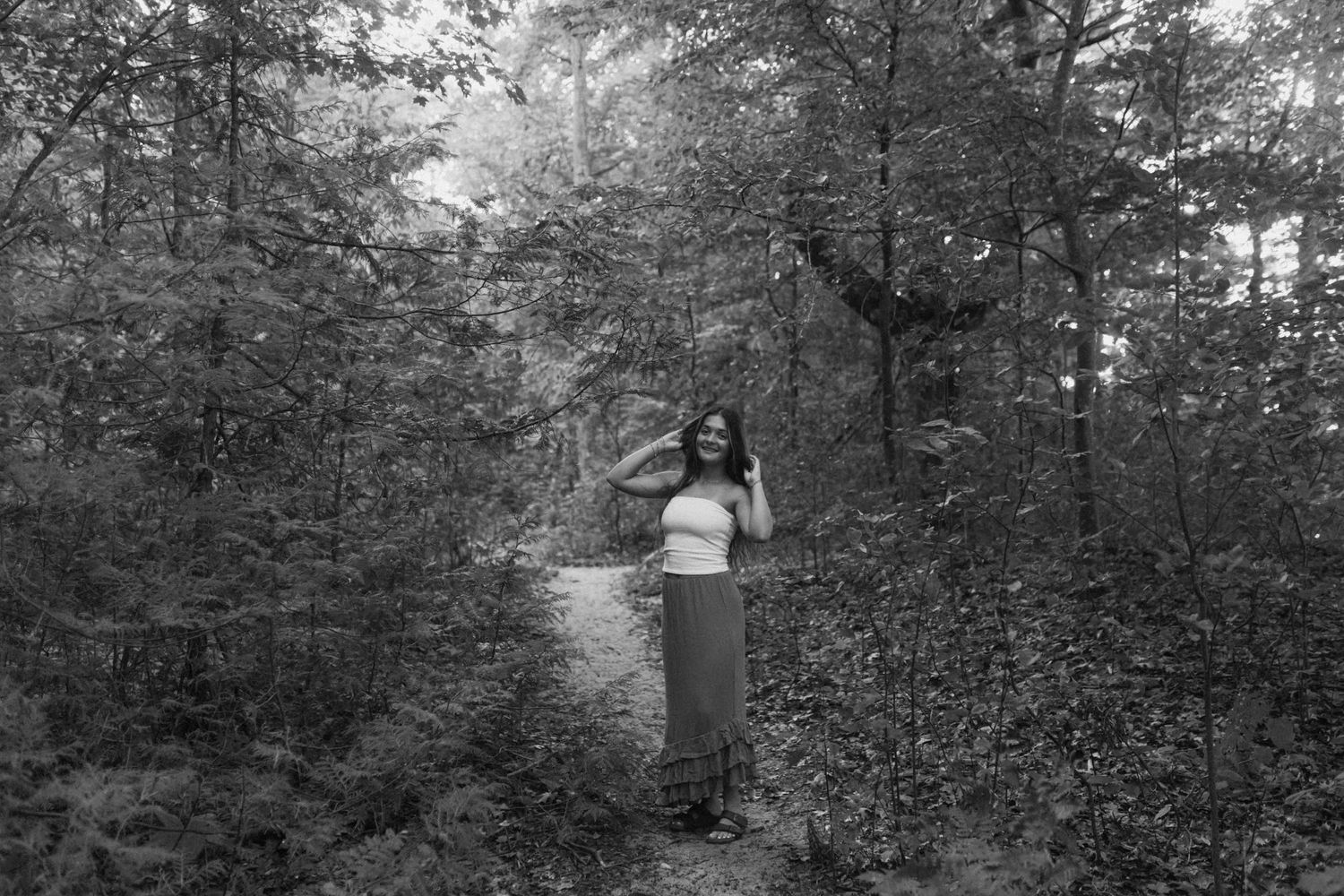 Black and white forest scene with natural path winding through woodland trees.