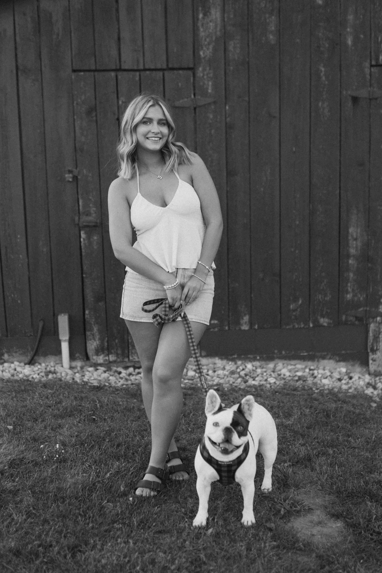 Black and white portrait with French Bulldog against wooden backdrop.