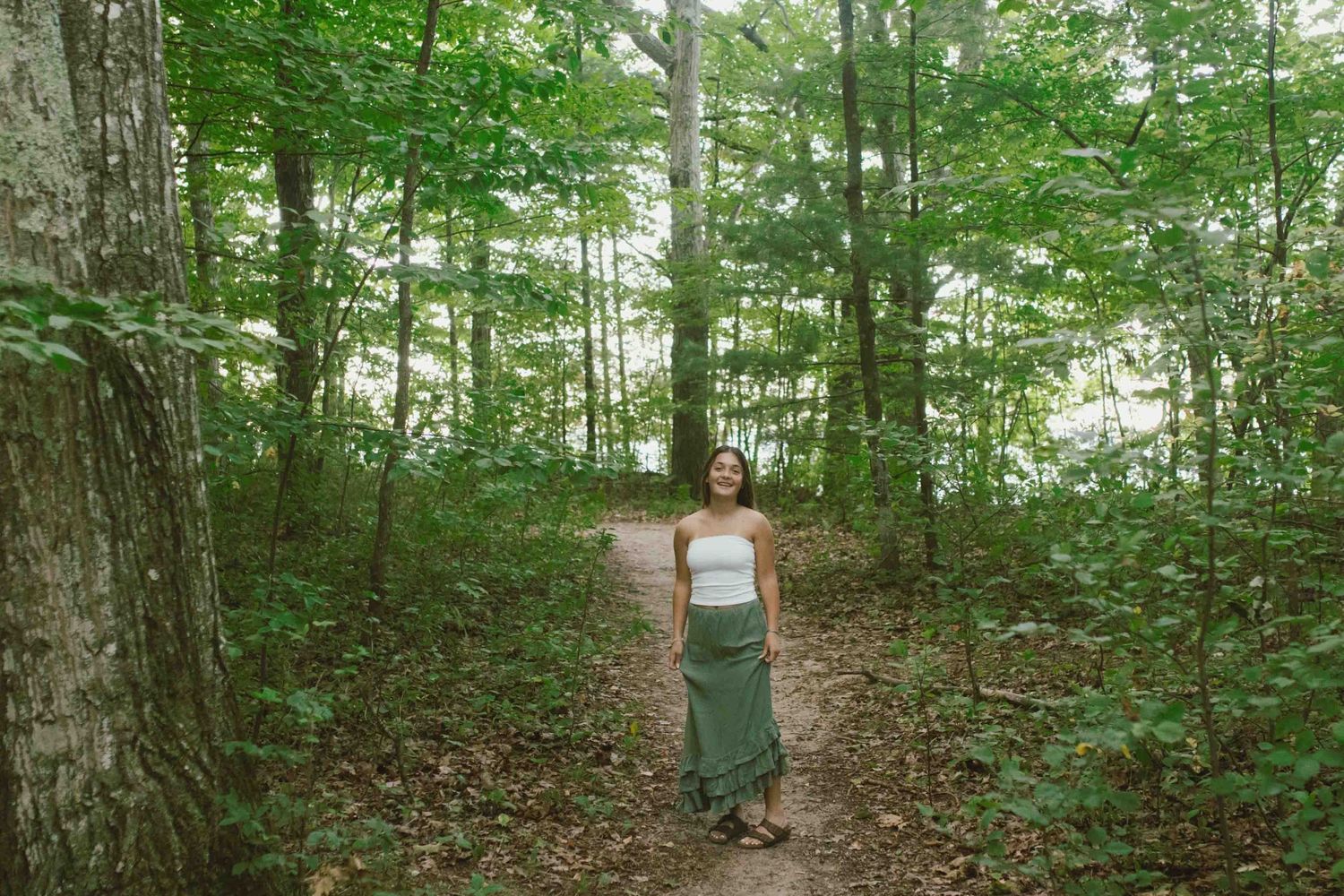 A dirt hiking trail meanders through dense summer forest with green leaves and tall trees.