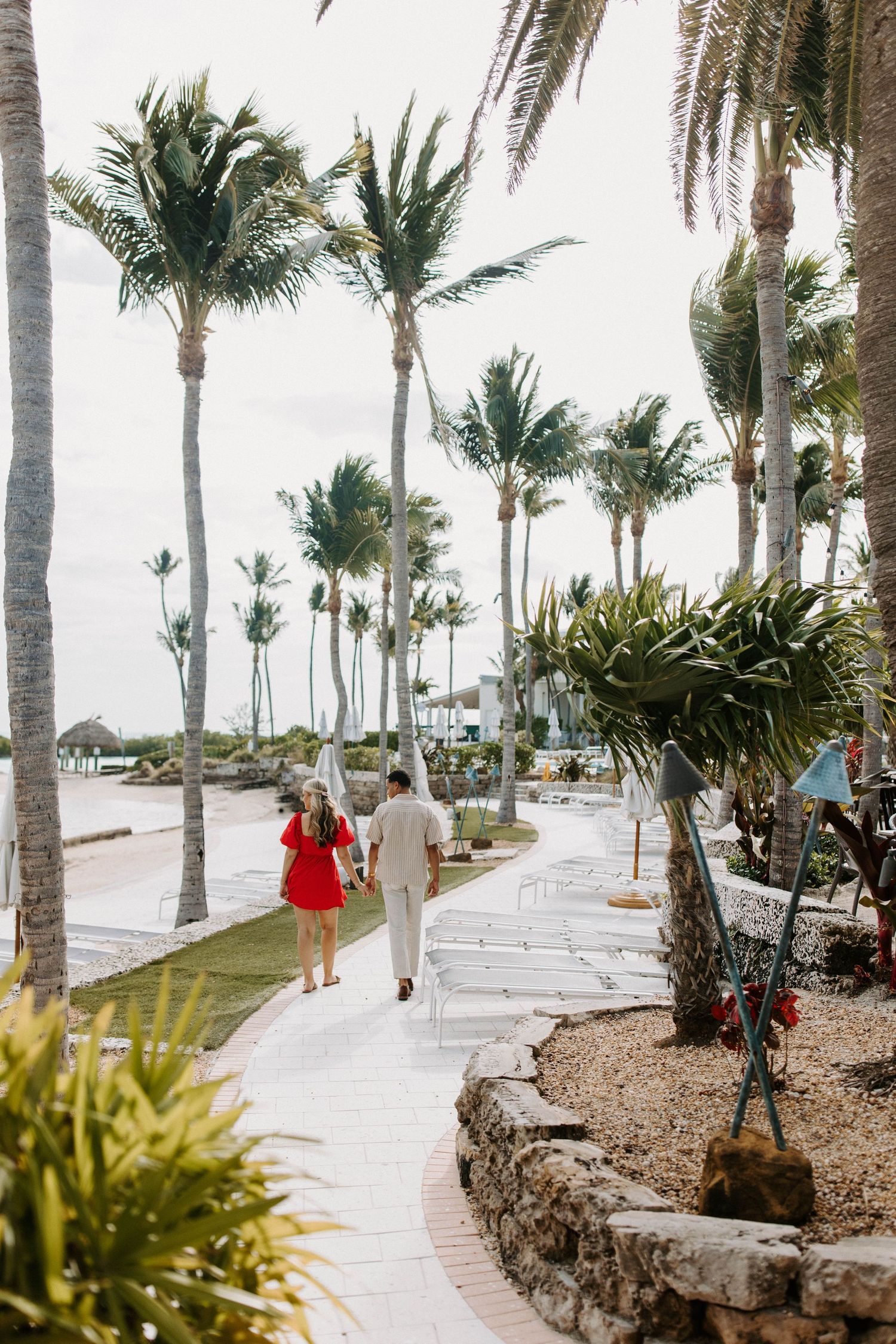 Palm trees line a winding beachfront walkway with tropical landscaping at a luxury resort destination.