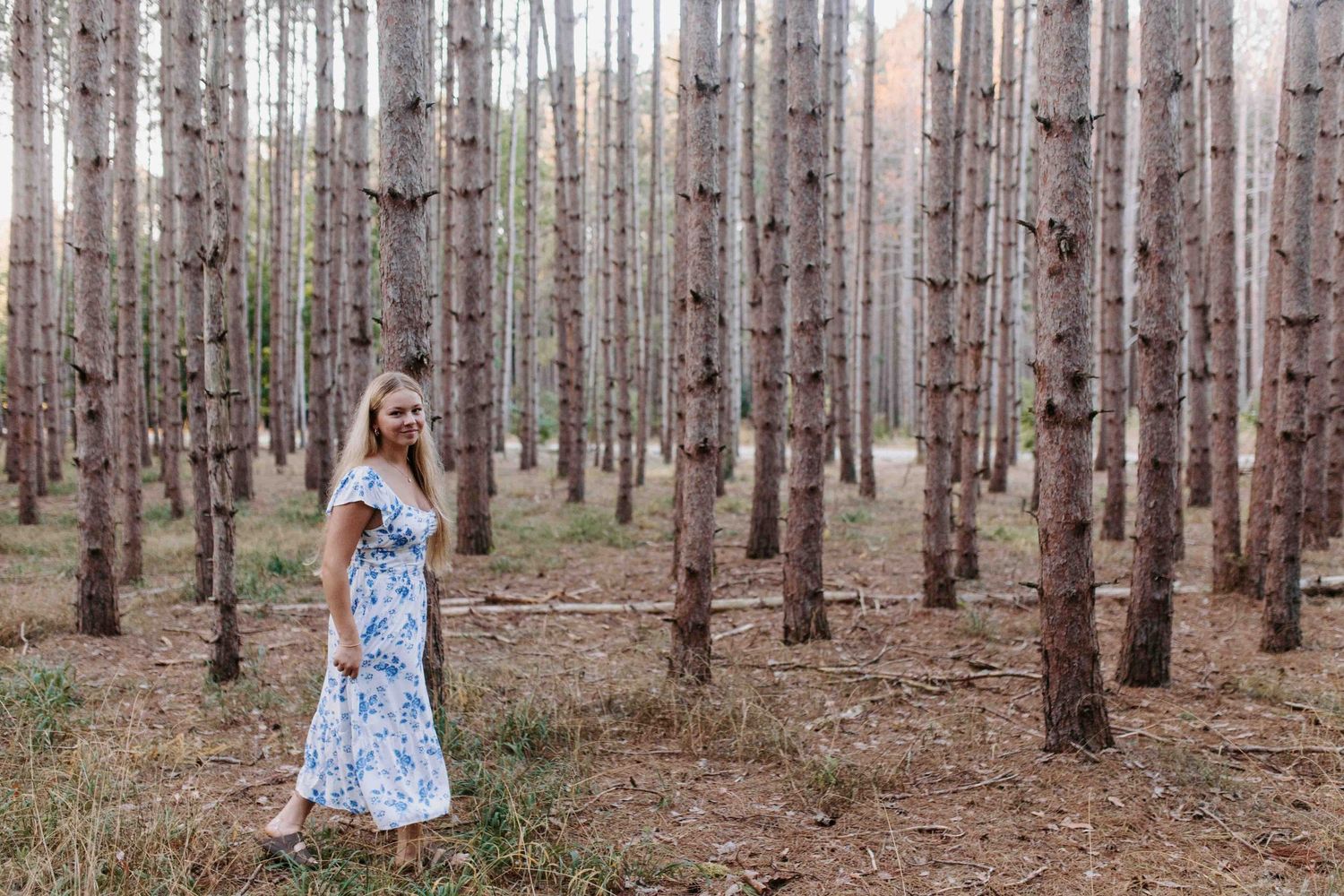 Person in blue dress stands among rows of pine trees in natural lighting.