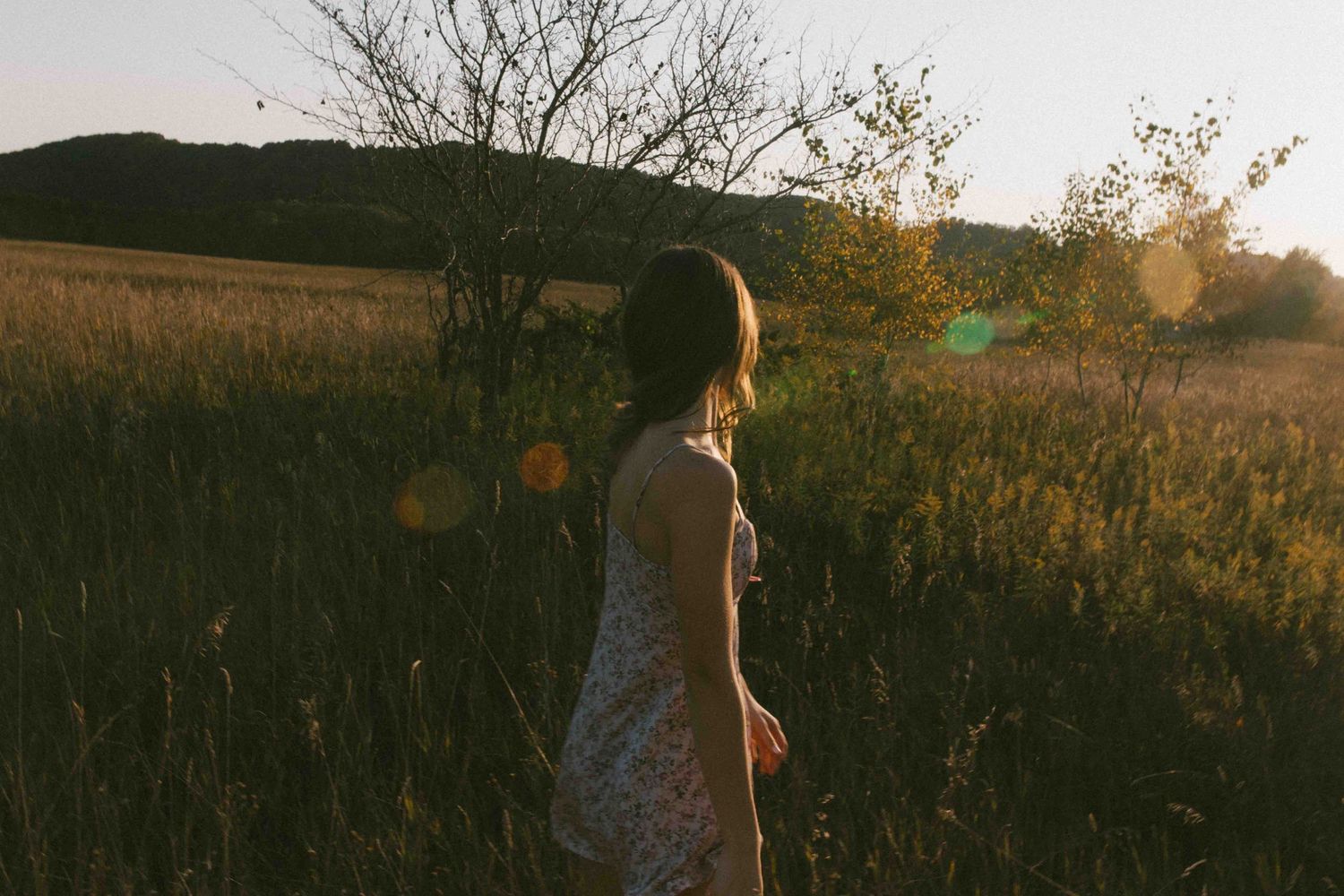 Golden hour photograph capturing a silhouette against a warm evening sky in a meadow.