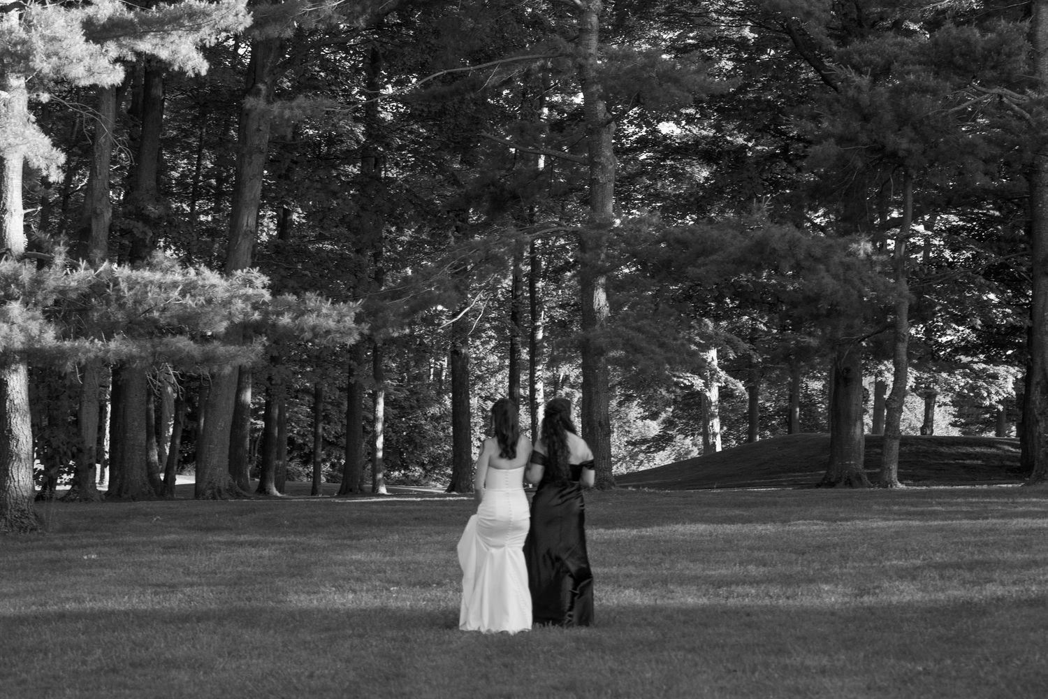 Black and white wedding photos taken in a serene outdoor park setting.