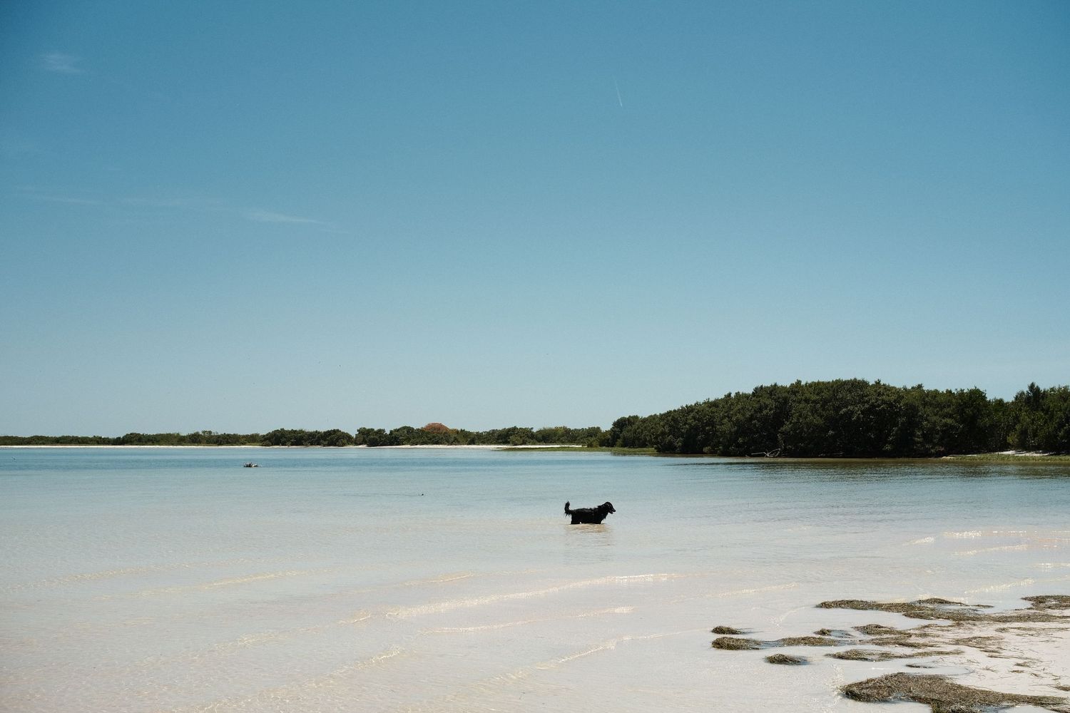 A small dark silhouette stands alone on a pristine white beach against a blue sky.