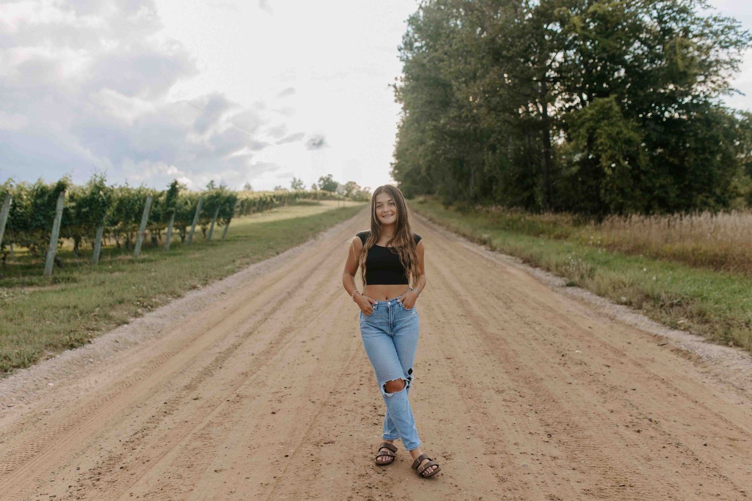 People walking away from camera on a sunlit dirt road surrounded by trees.