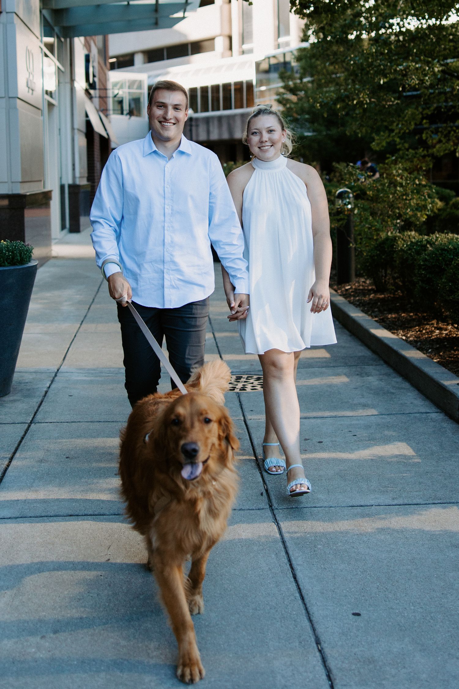 A couple walks their golden retriever dog on a city sidewalk during a sunny day.