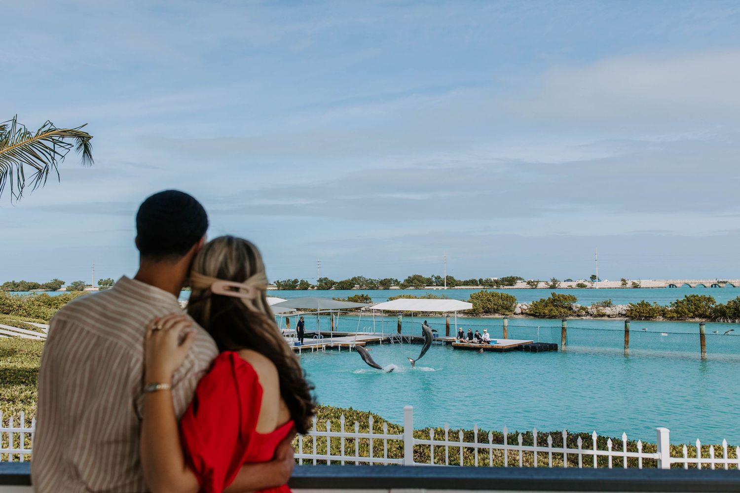 Scenic waterfront view of a tropical bay with palm trees and resort buildings in the background.
