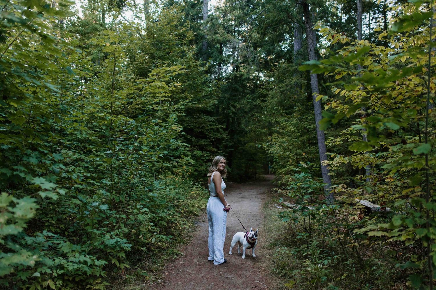 A scenic wooded path surrounded by dense green vegetation and tall trees.