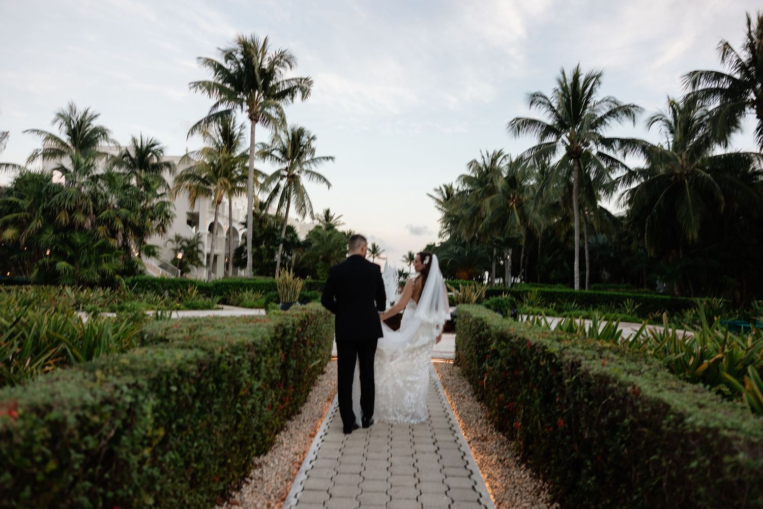 A couple walks down a garden path lined with palm trees and manicured hedges.