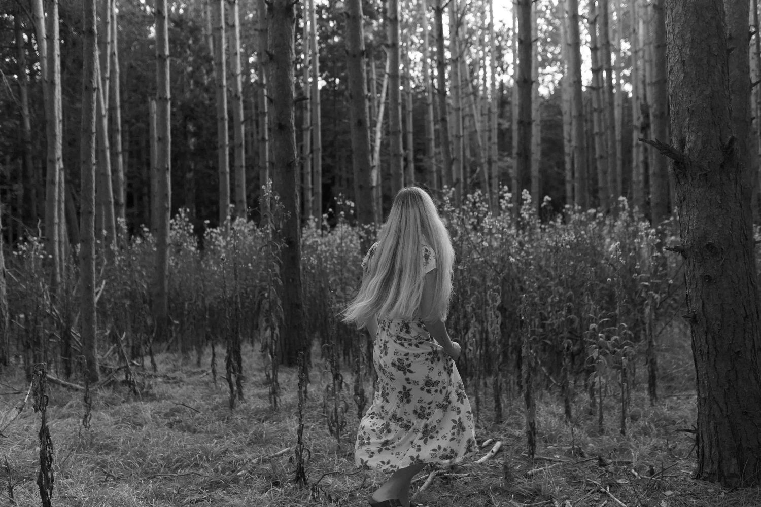 Artistic black and white photograph of a floral dress in a wooded setting.