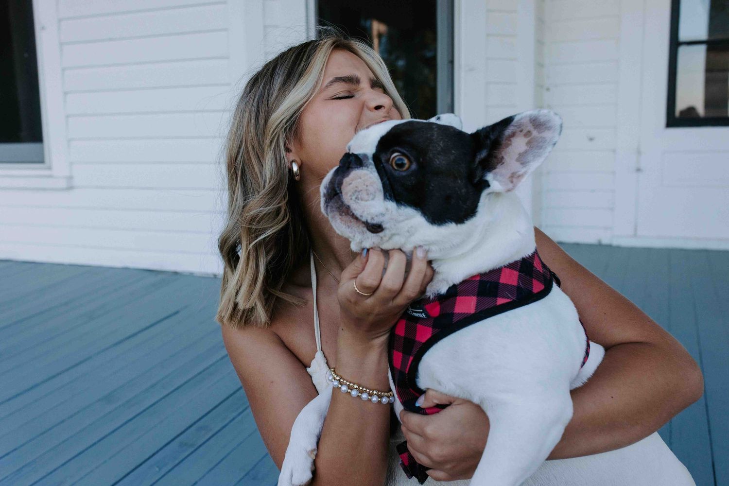 Playful moments with white dog on front porch in summer.