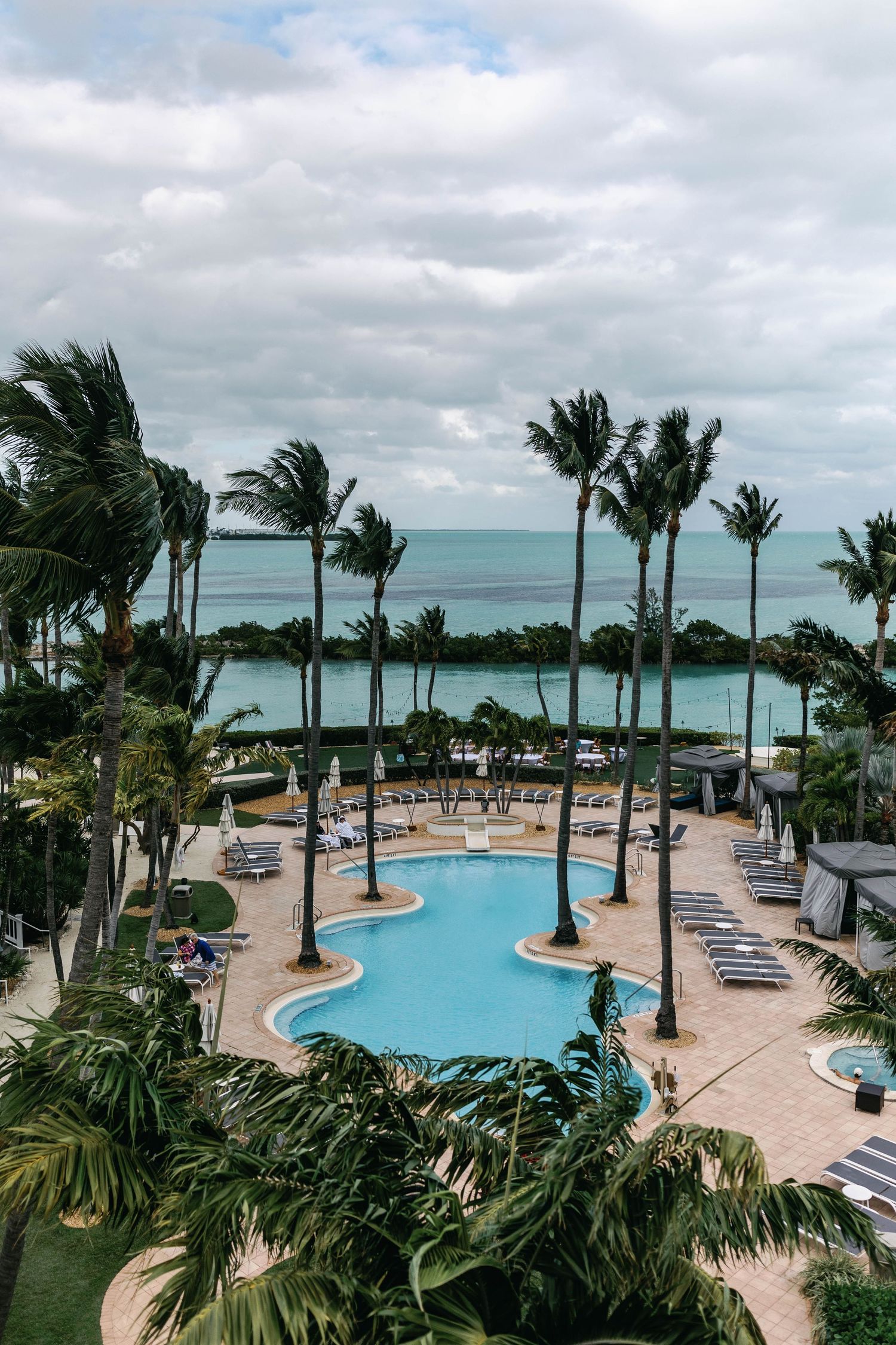 Tropical resort pool area with palm trees swaying in the wind and turquoise ocean views in the background.
