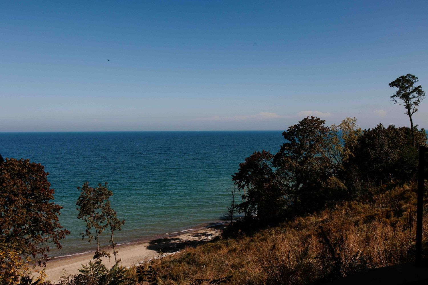 Scenic coastal landscape with trees and ocean views stretching across the horizon.