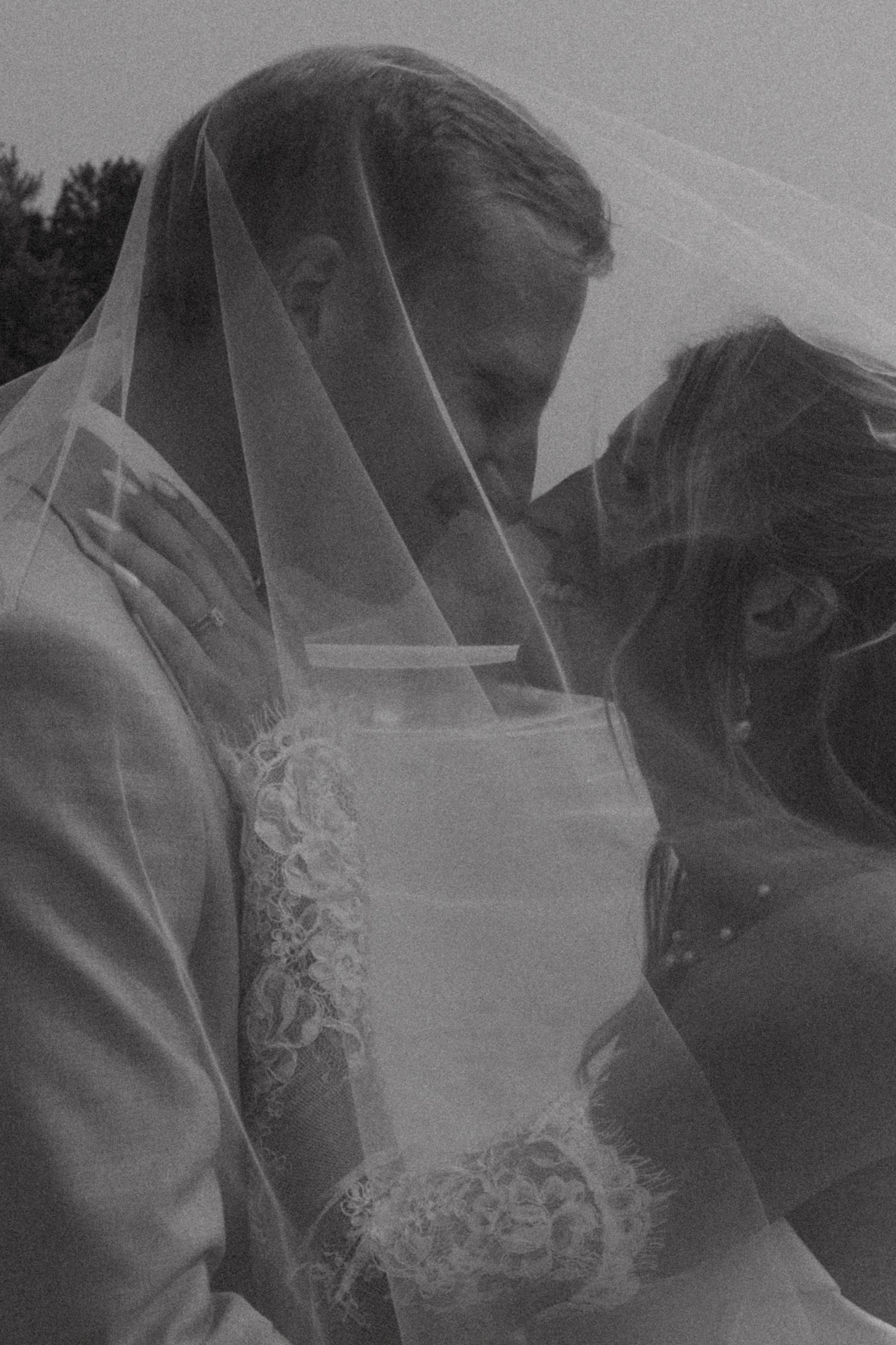 Romantic black and white portrait through wedding veil.