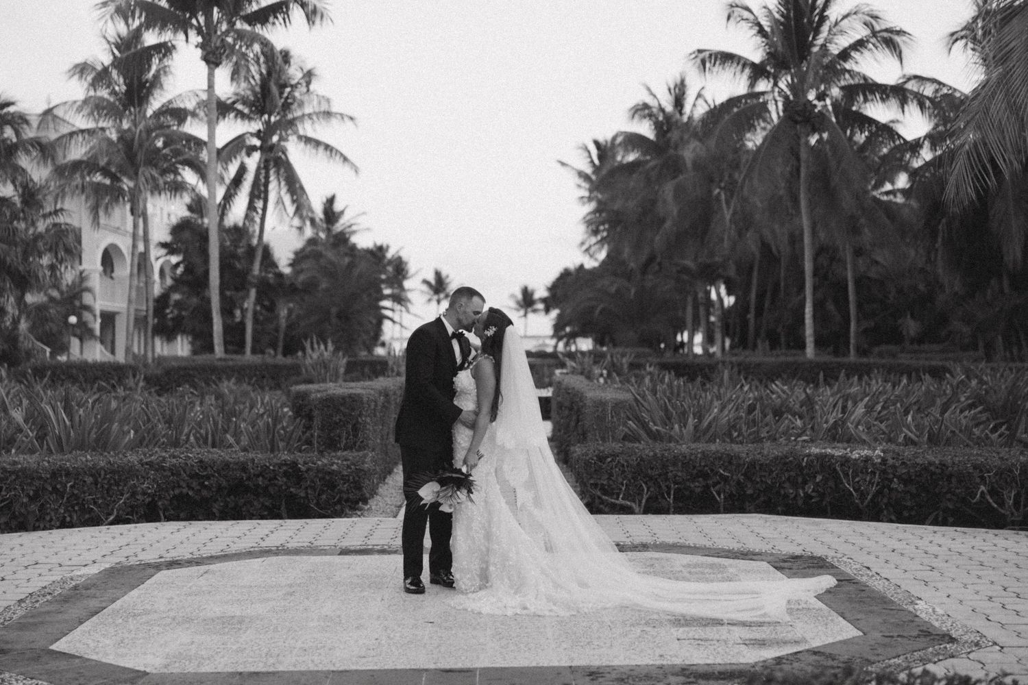 Black and white wedding portrait with flowing veil against palm trees.