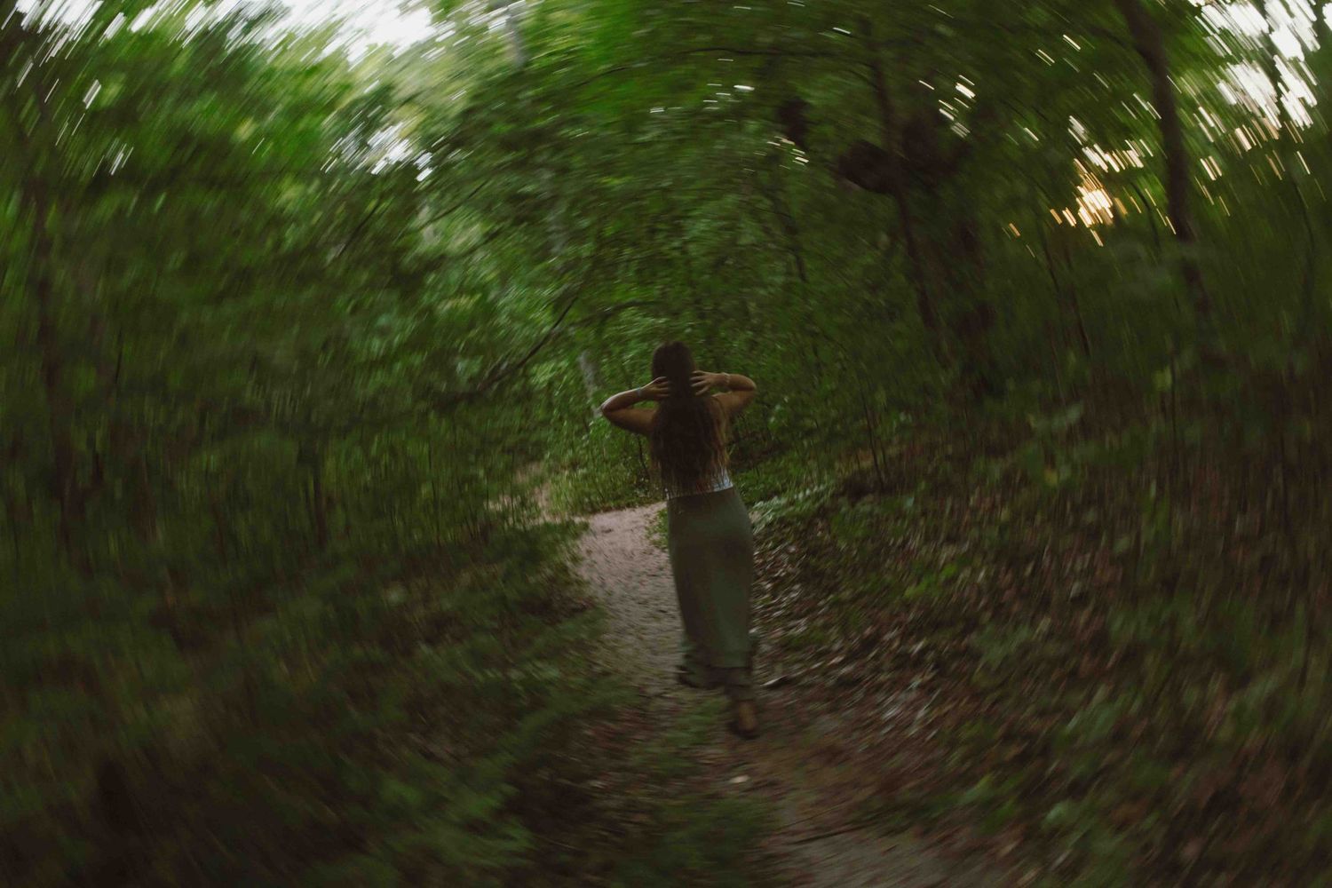 Silhouette of someone walking on a forest path surrounded by lush green foliage.