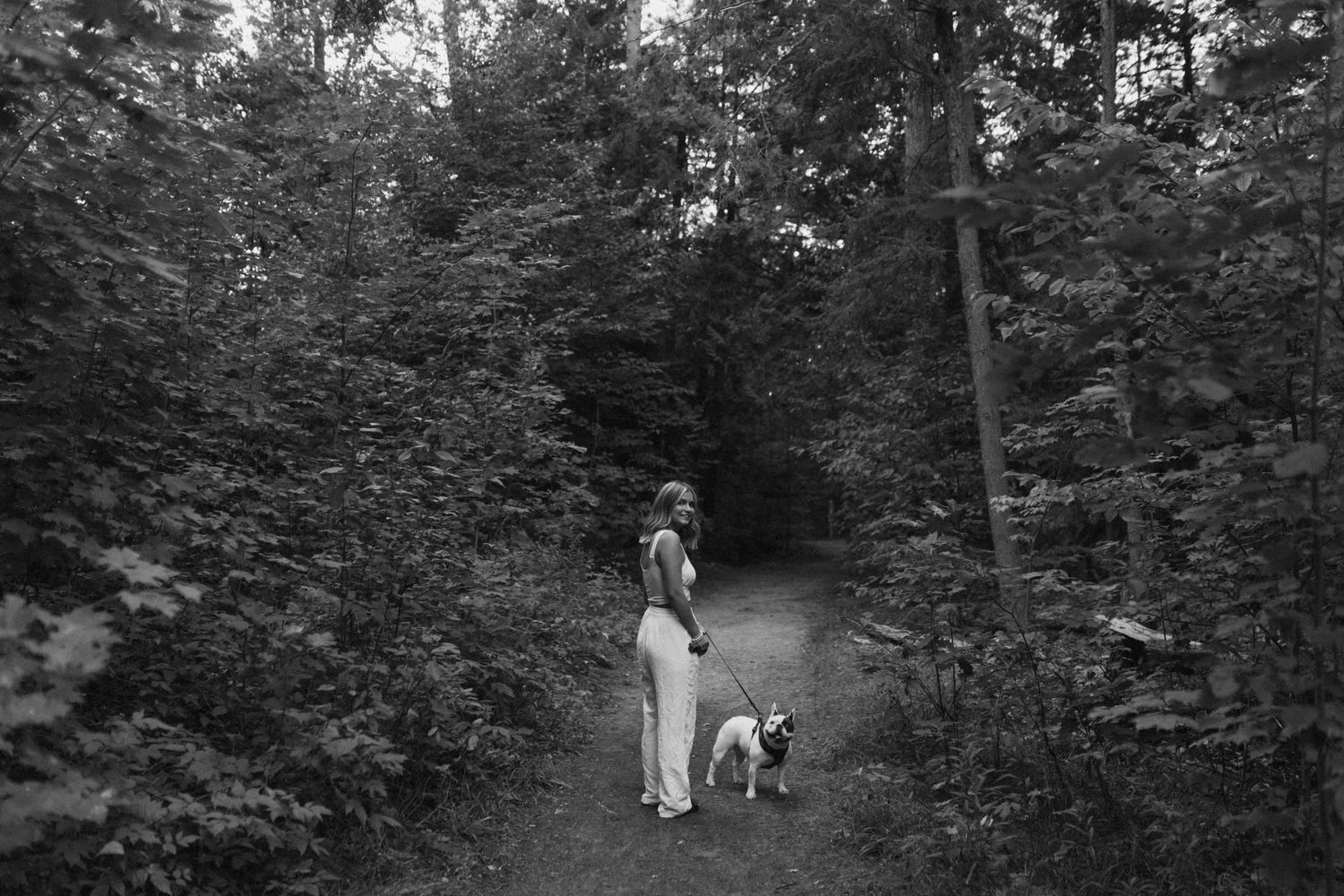 A wooded trail path winds through lush green forest with dappled sunlight filtering through the trees.