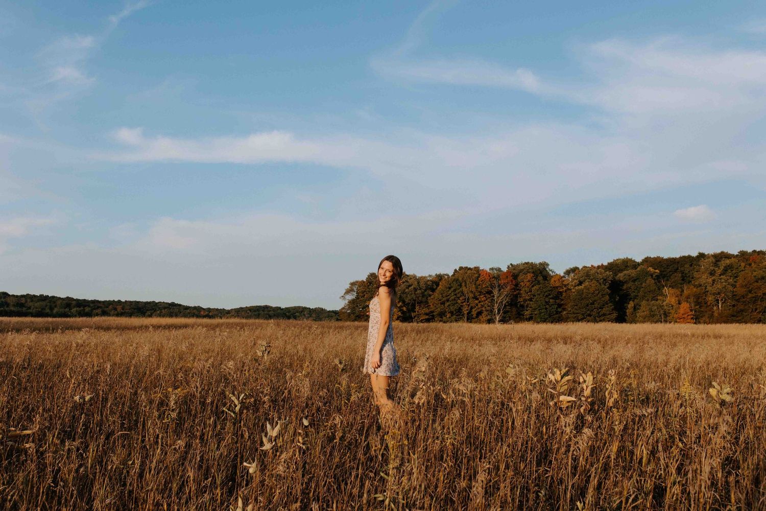 Panoramic countryside scene with a figure standing in a golden wheat field under blue skies.