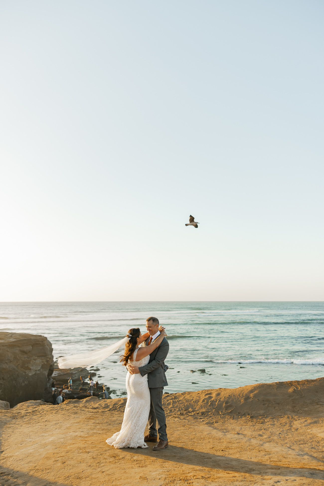 A couple embraces on a rocky beach cliff at sunset with a seagull soaring overhead.