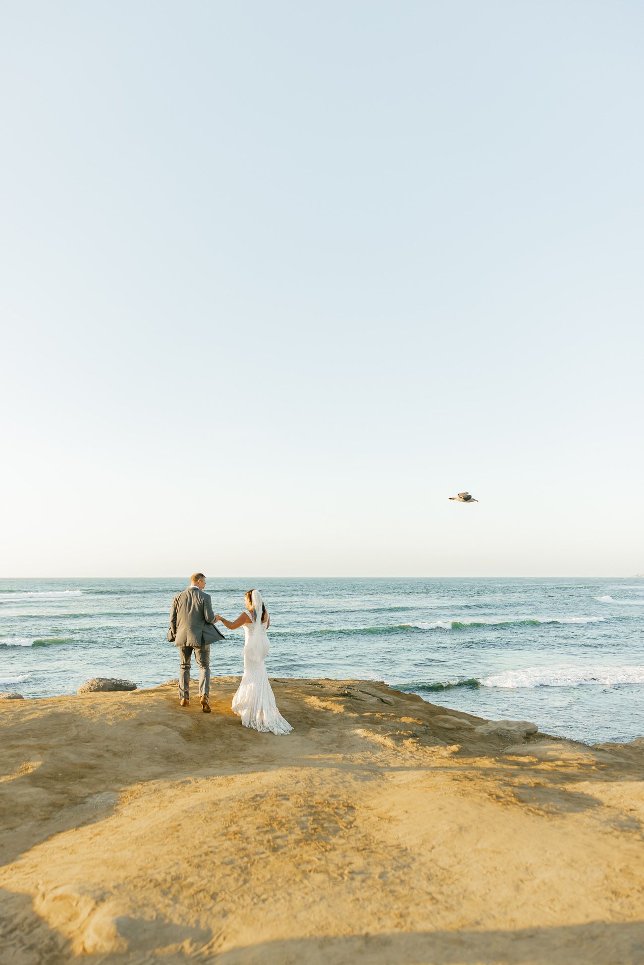 Couple stands on coastal cliff overlooking ocean with seagull flying overhead.