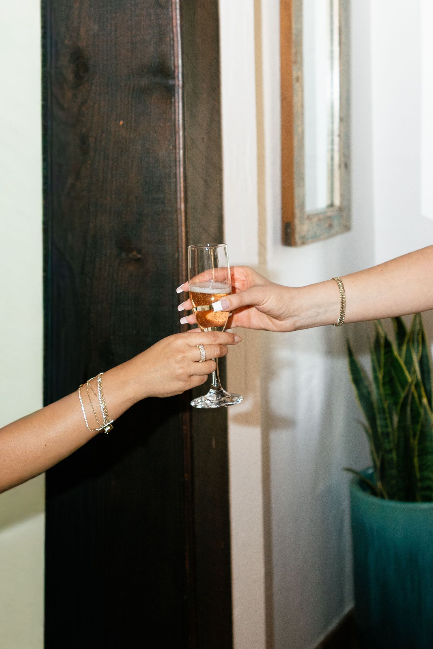 Two hands reaching out to clink glasses in a toast against a dark wall with a houseplant in the background.