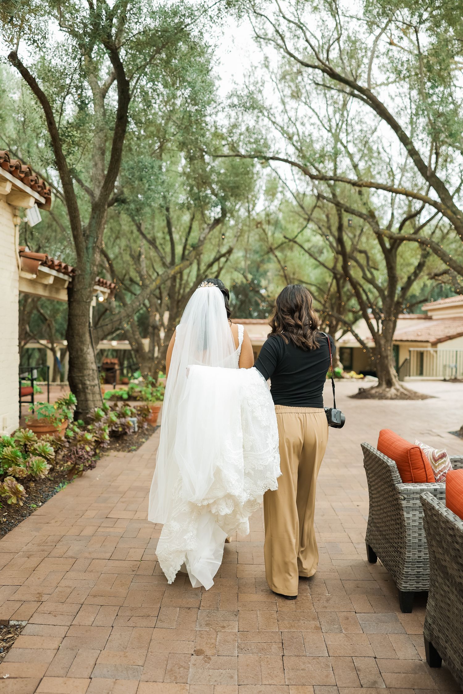 A wedding dress and couple walking along a rustic brick pathway surrounded by olive trees at an outdoor venue.