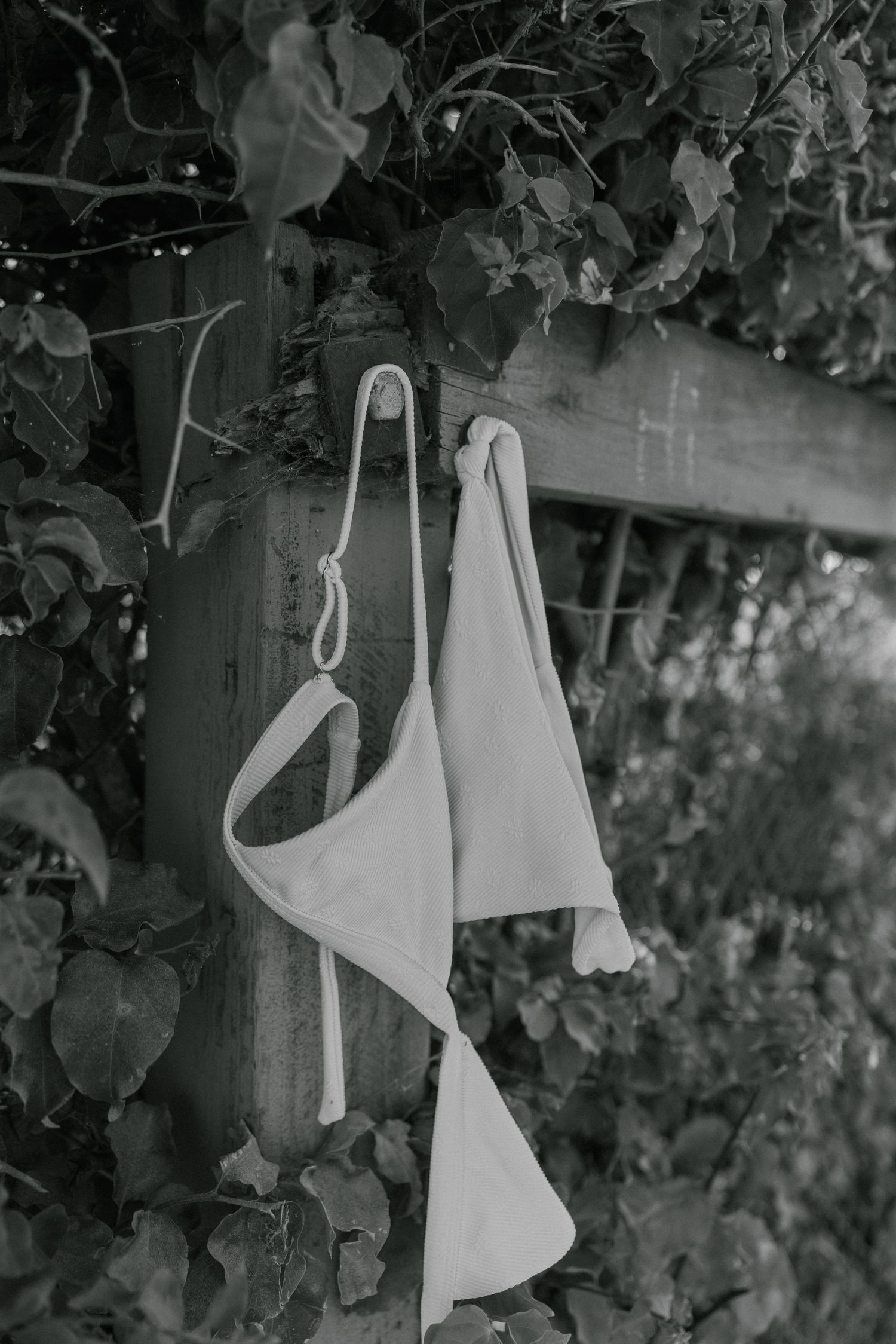 Black and white photo of white face masks hanging on hooks against a leafy vine-covered wall outdoors.