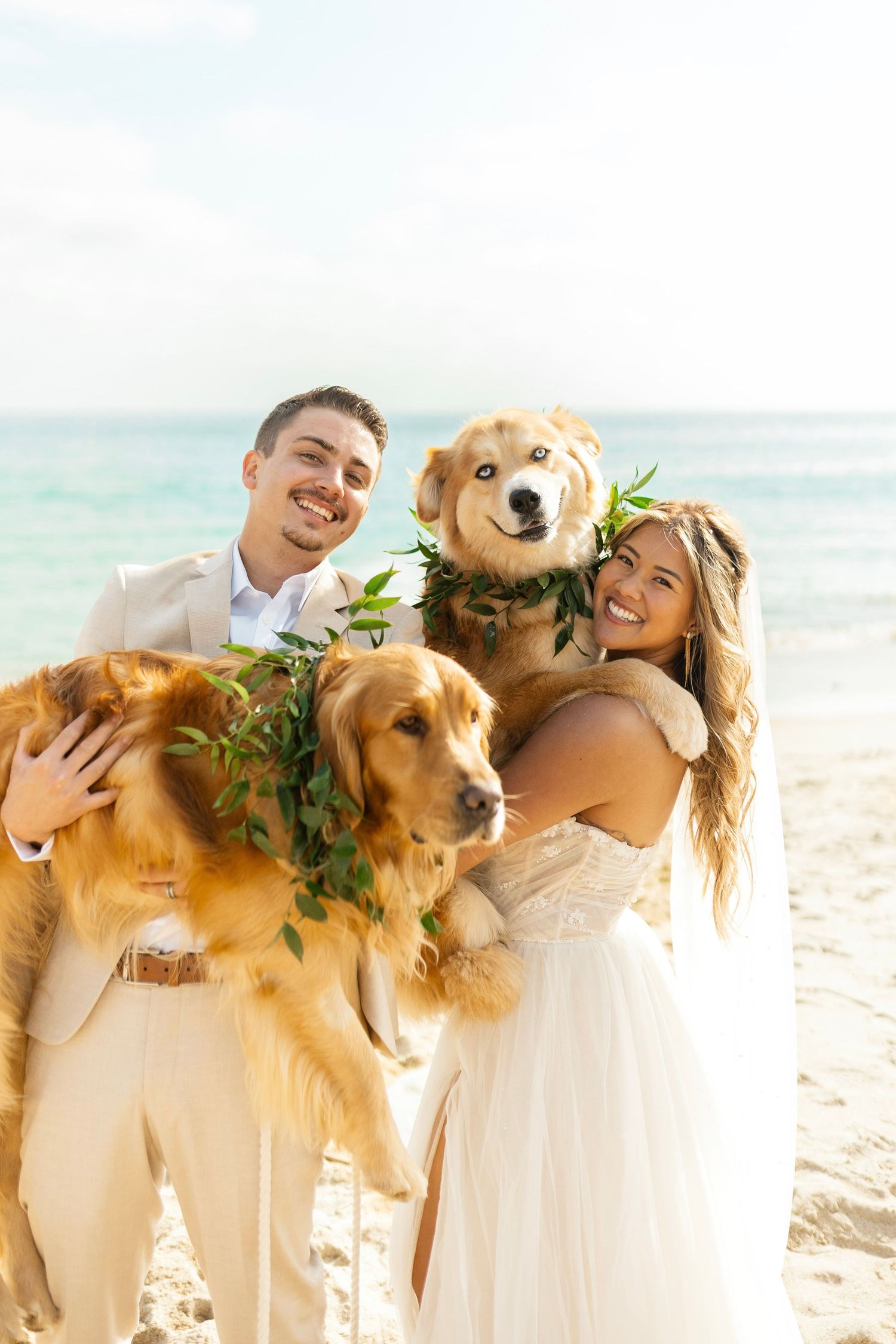 A couple in white attire poses on a beach with their two golden retrievers adorned with tropical greenery.
