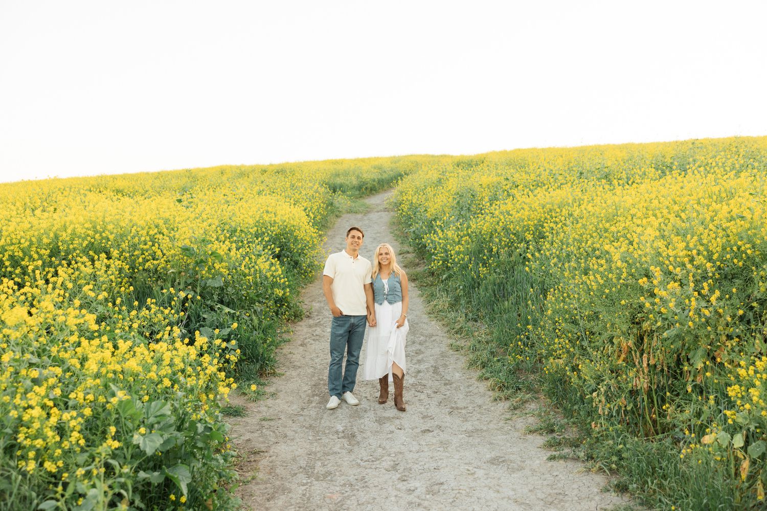 A dirt path winds through vibrant yellow wildflower fields on a sunny summer day.