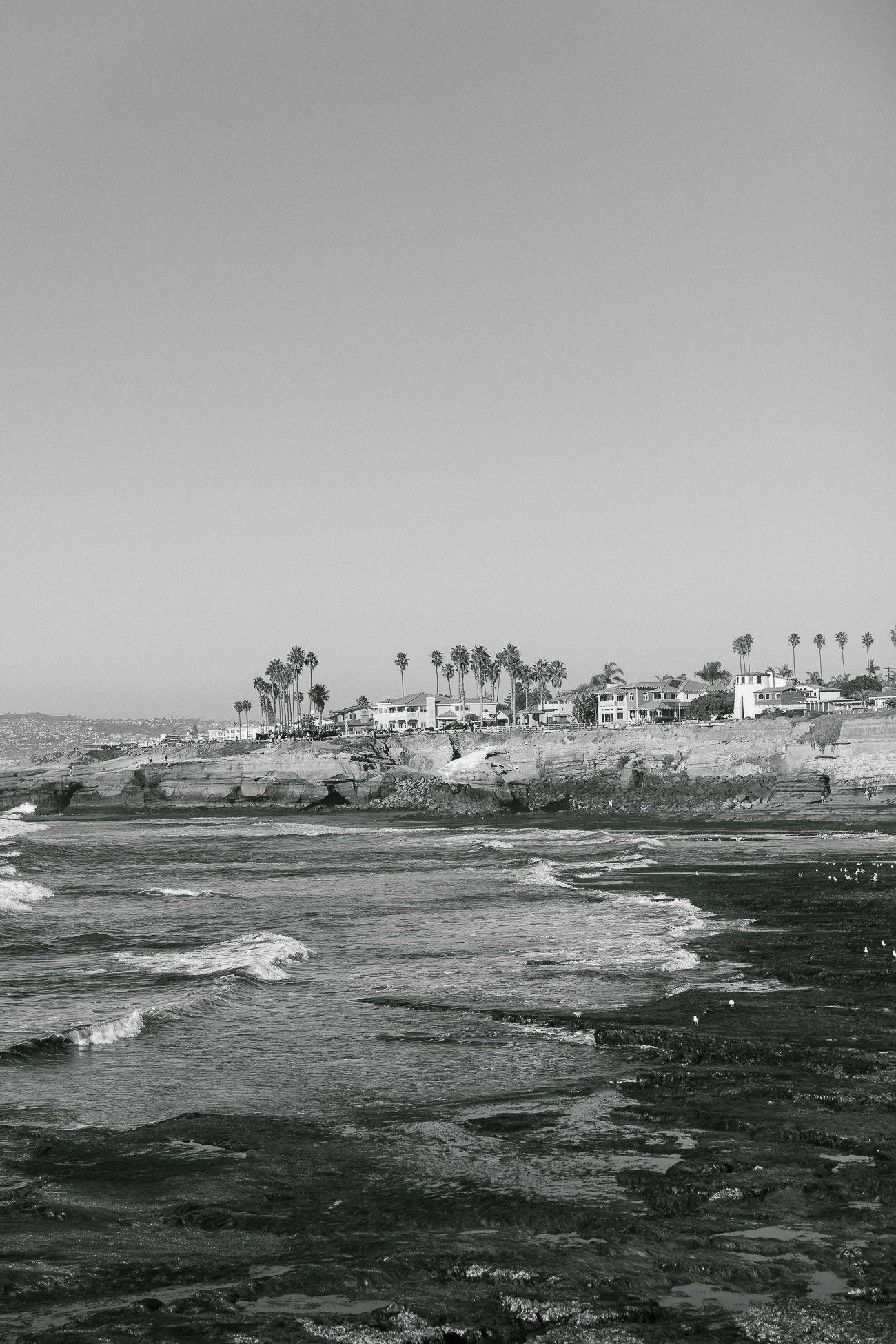 Black and white coastal landscape with waves crashing against rocky shoreline and palm trees dotting the hillside.