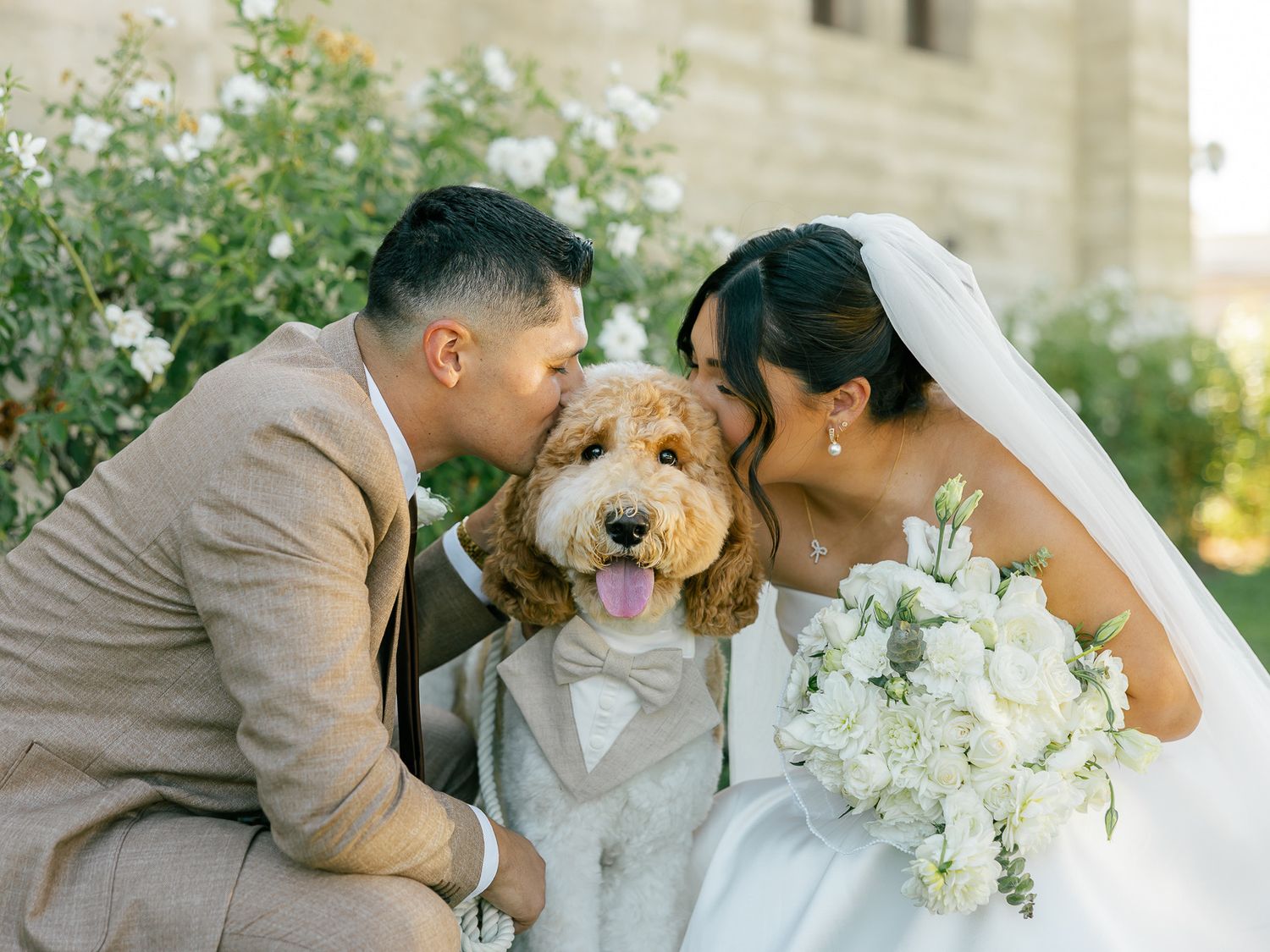 Happy couple kisses their smiling dog wearing bowtie during wedding photos.
