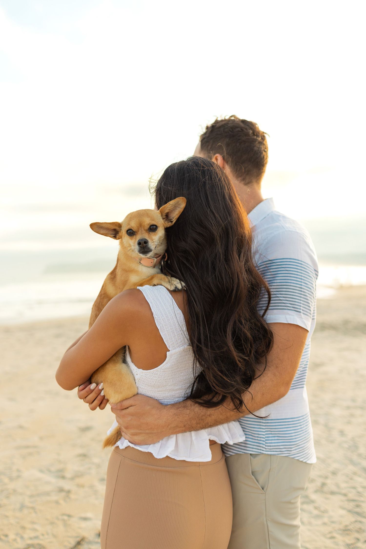 Couple embraces on sandy beach at sunset while holding small Chihuahua dog.