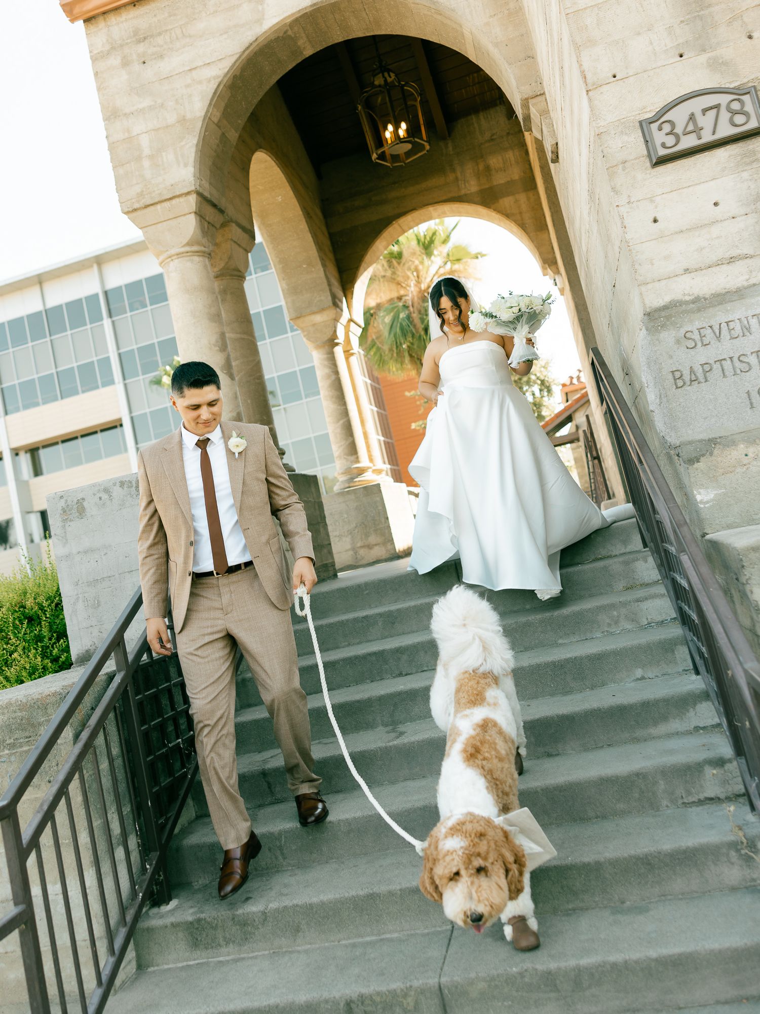 A dog in white outfit leads couple down stone church steps during wedding ceremony.